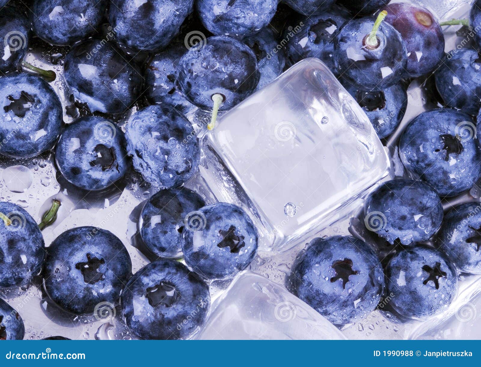 Cold Blueberries Picture. Image 1990988