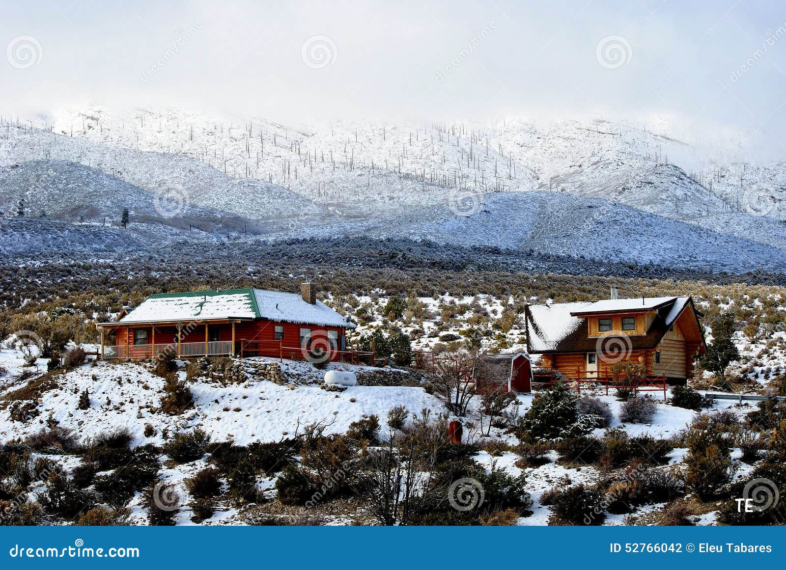Cold Creek stock photo. Image of nevada, desert, wild 52766042