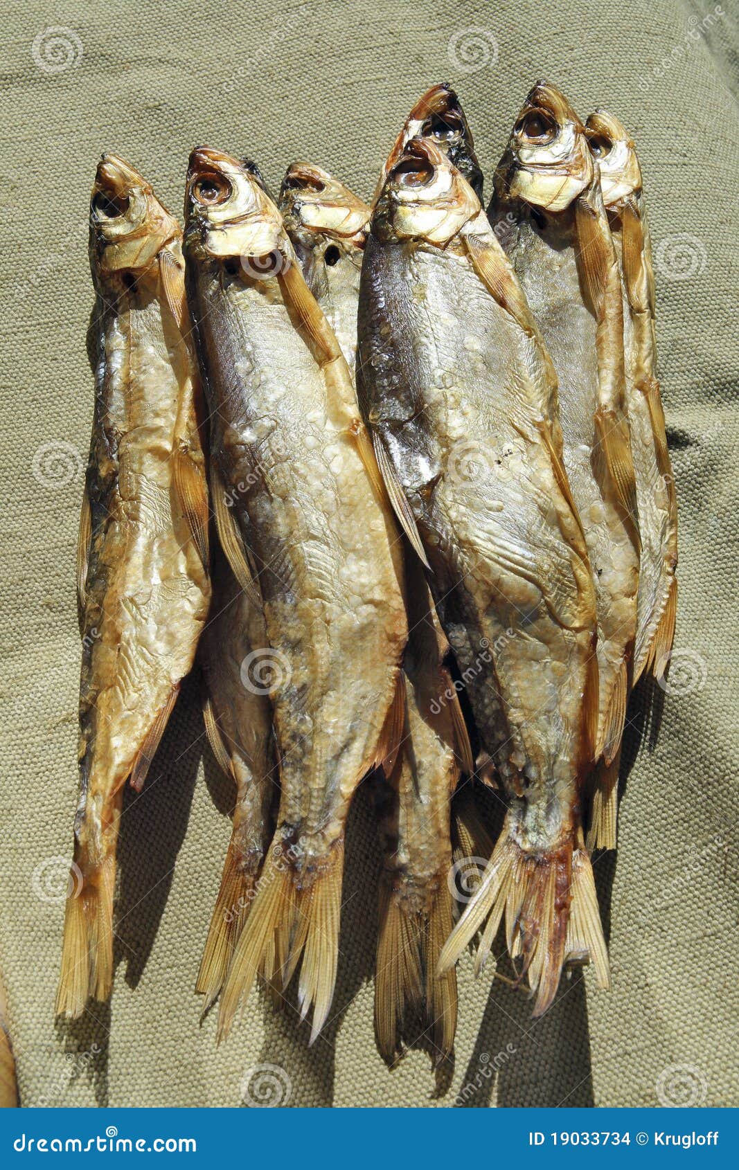 Coldsmoked whitefish stock photo. Image of fish, delicacy 19033734