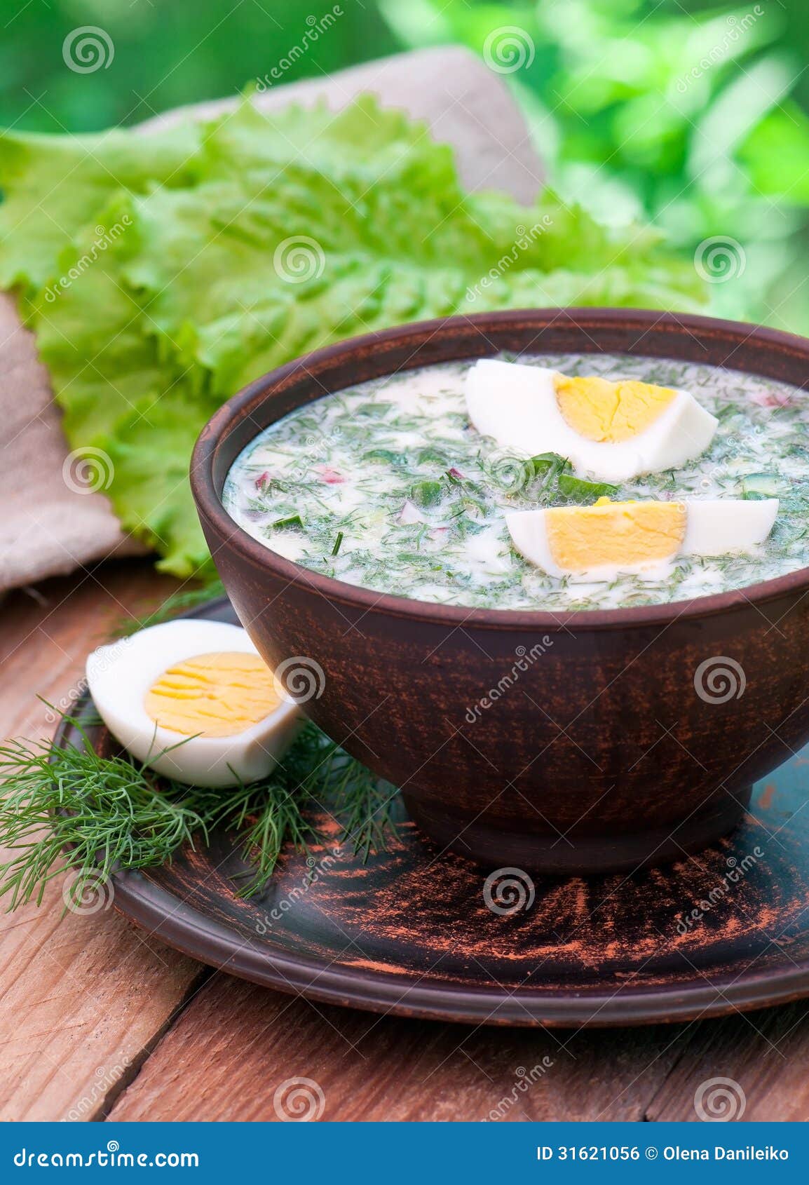 Cold vegetable kefir soup stock photo. Image of dinner 31621056