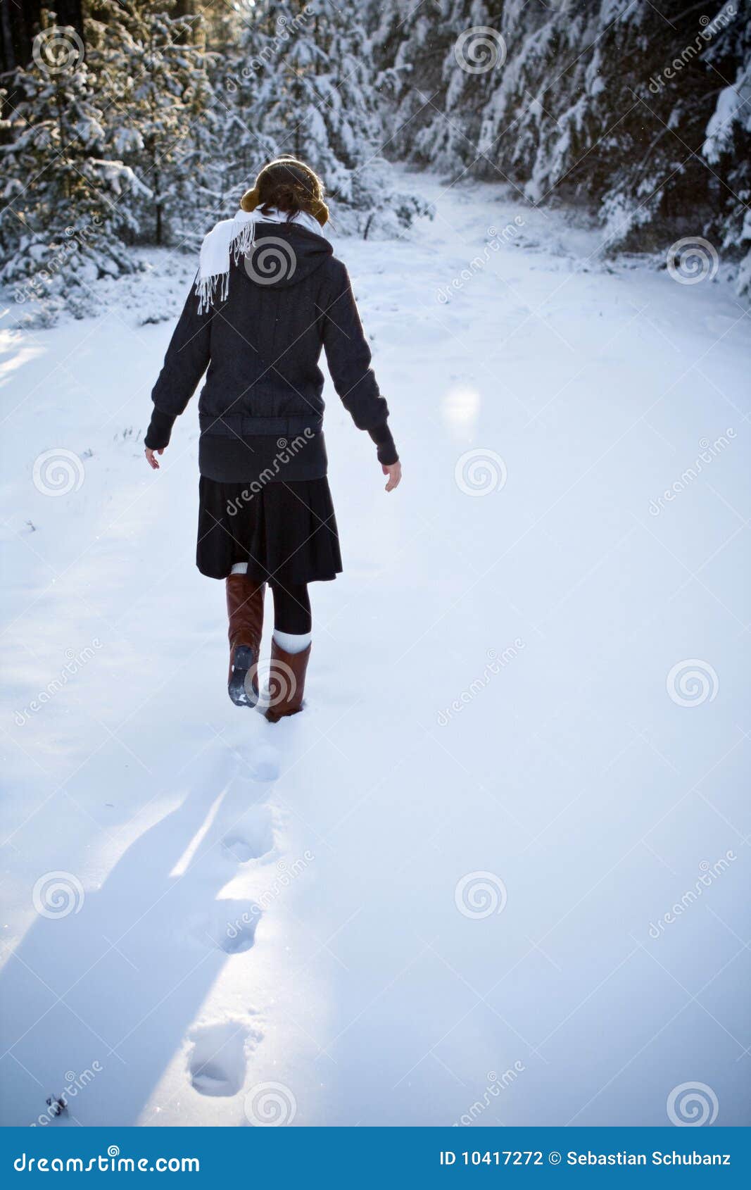 Cold winter stock photo. Image of frost, scene, crystal - 10417272