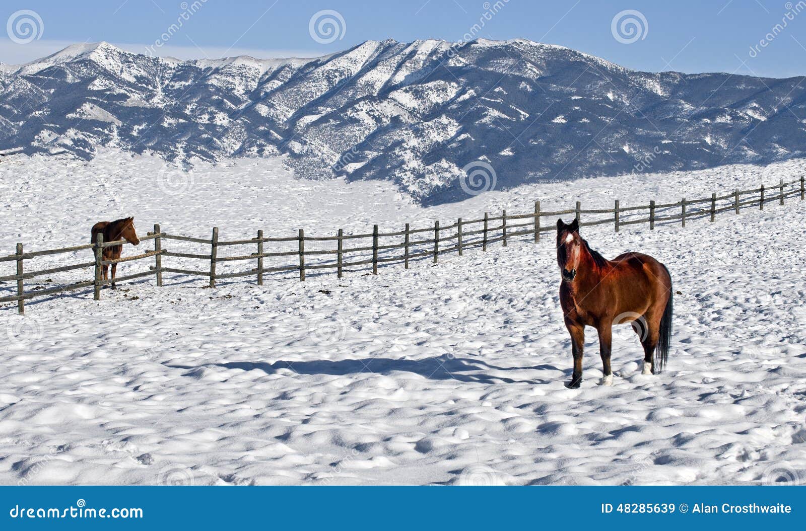 cold winter in bozeman