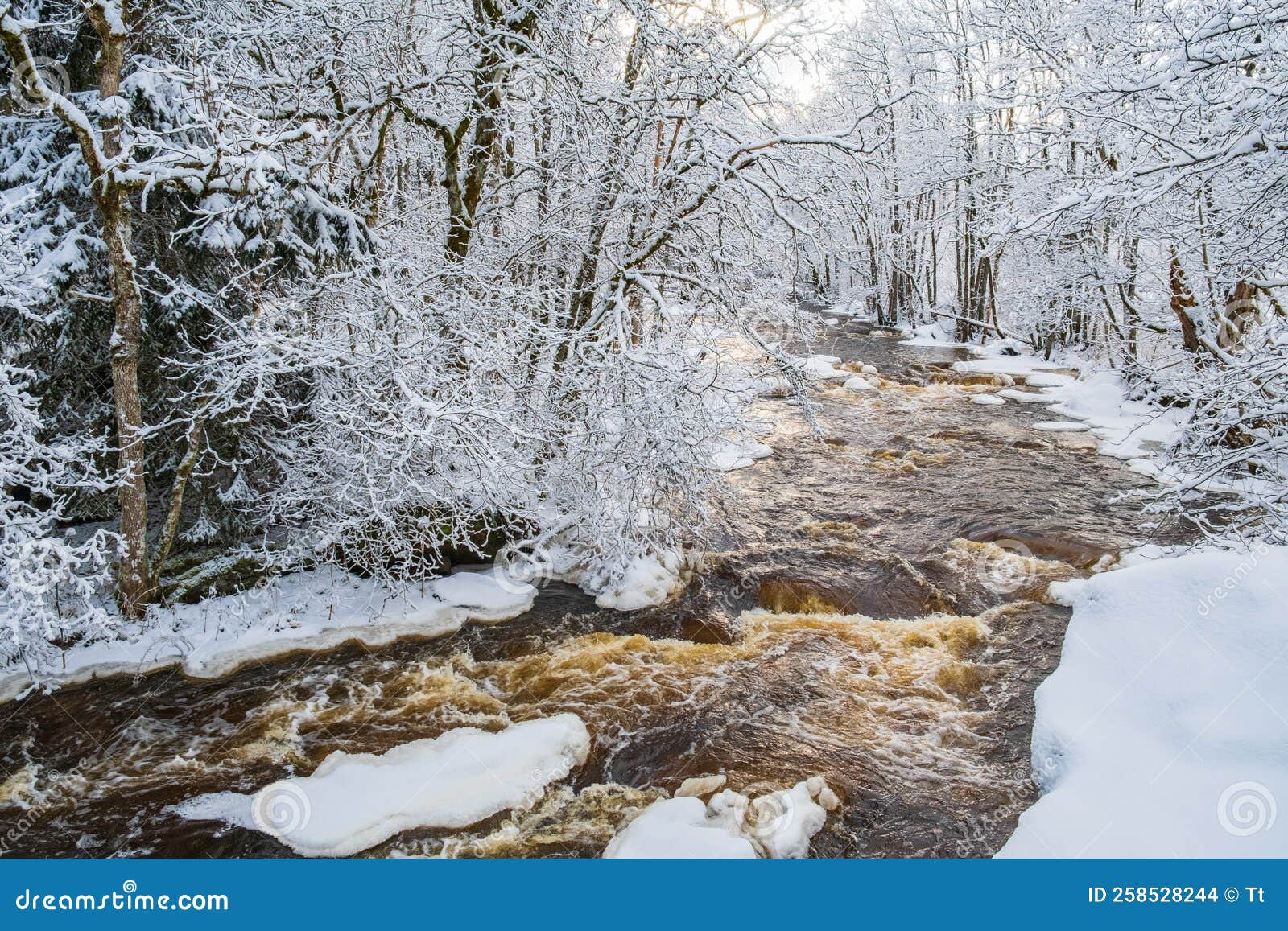 Cold Wintry Landscape by a River Stock Photo Image of woodland