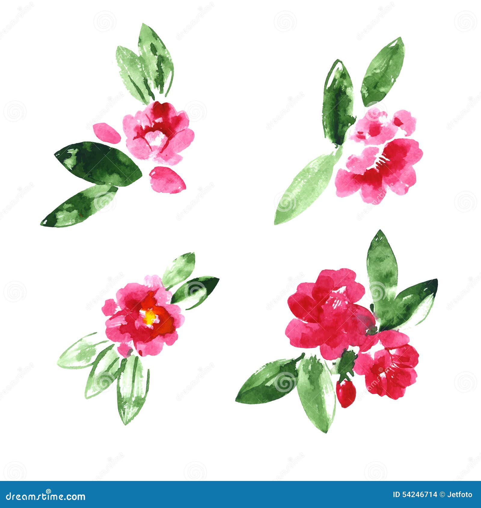 Coleção De Flores Da Camélia Da Aquarela Ilustração do Vetor - Ilustração  de elegante, bonito: 54246714