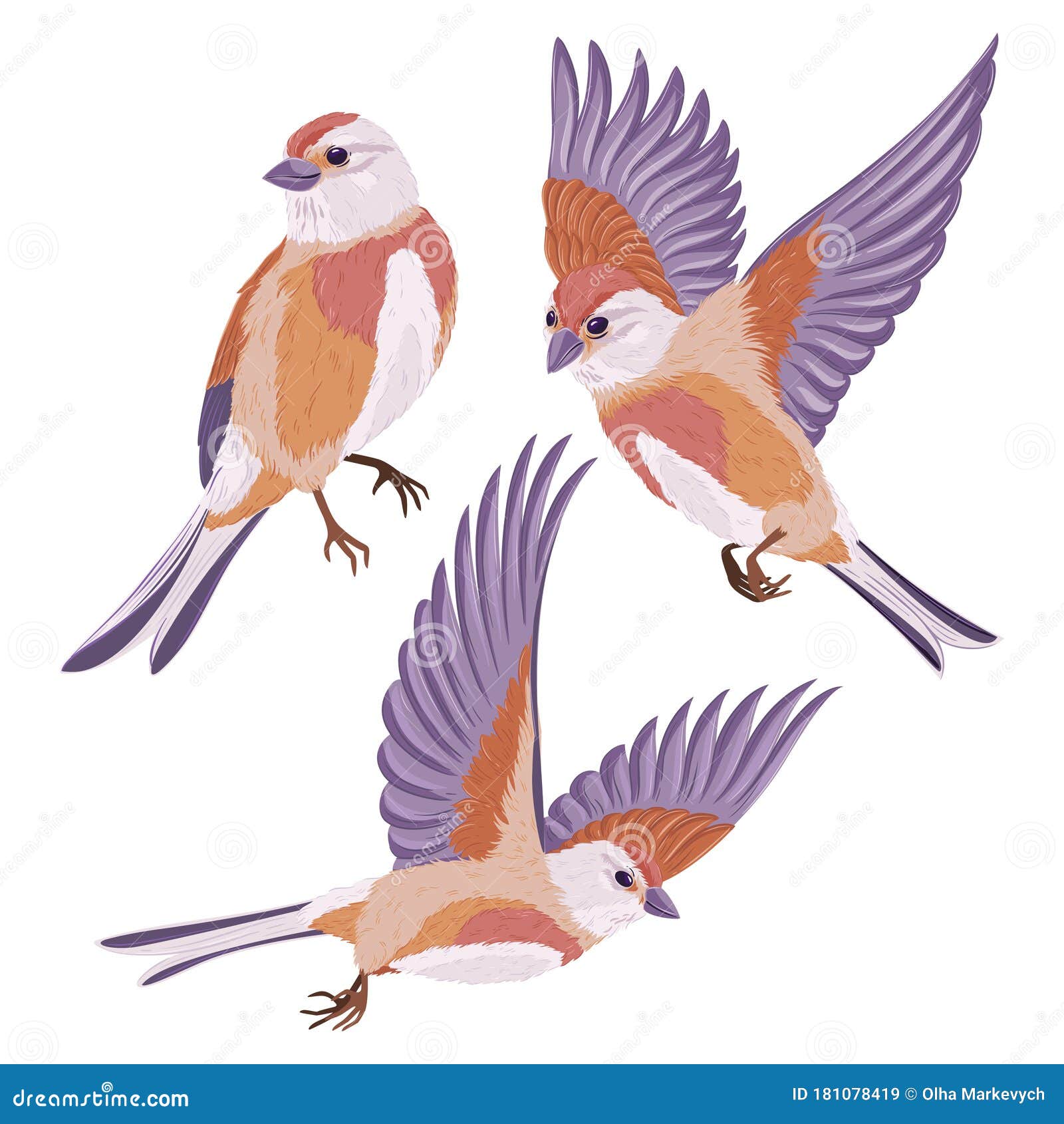 Conjunto de plumas realistas de aves  Vector Gratis