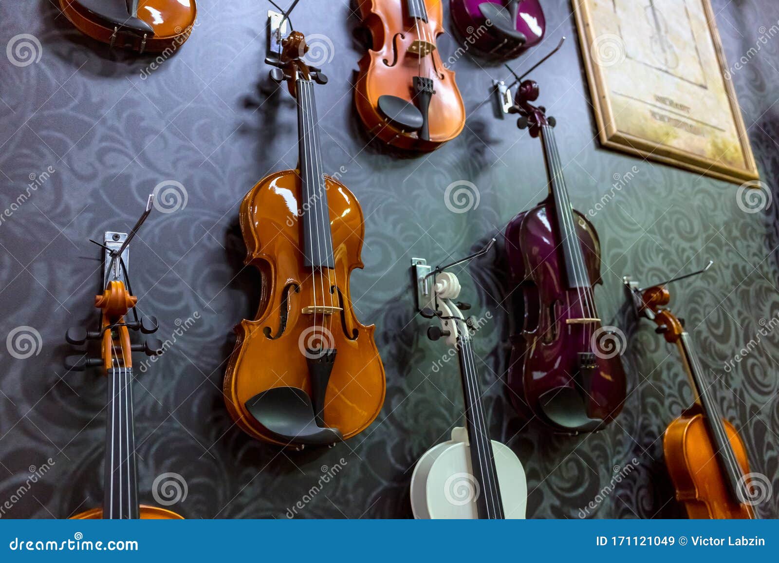 Colección De Violines Clásicos de archivo - de detalle, juego: 171121049