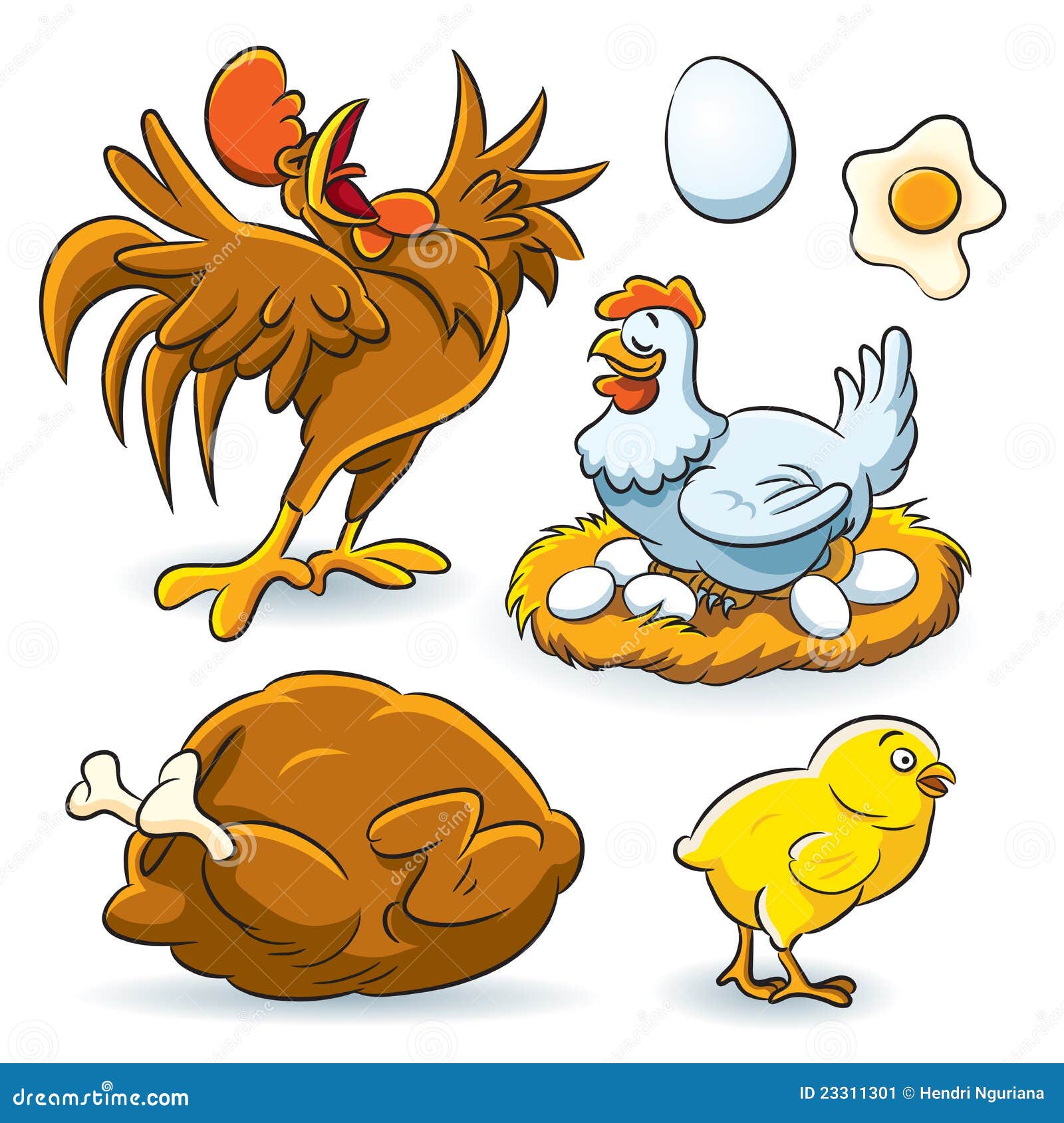 Colección del pollo ilustración del vector. Ilustración de asador - 23311301