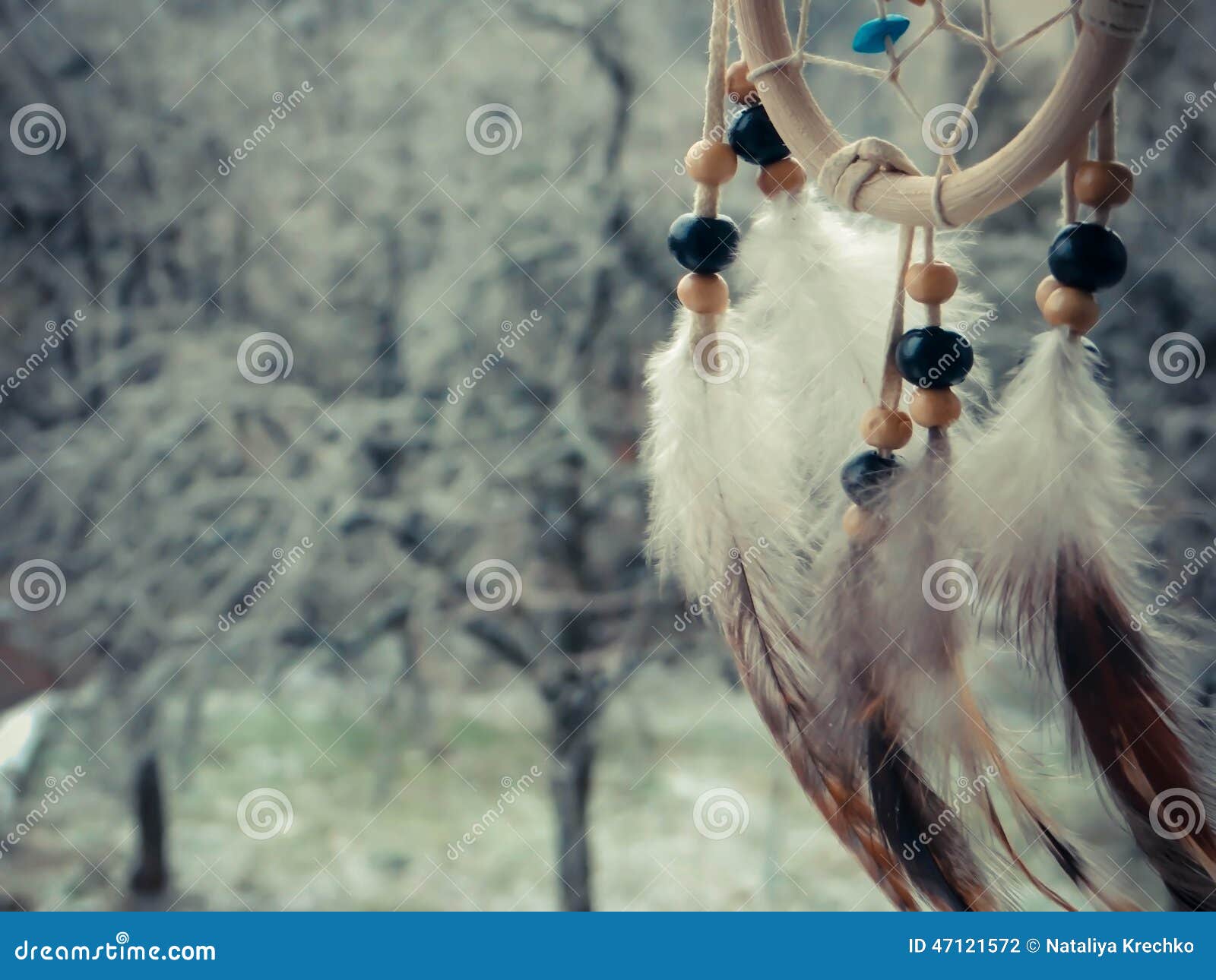 Foto del colector ideal en un bosque del invierno