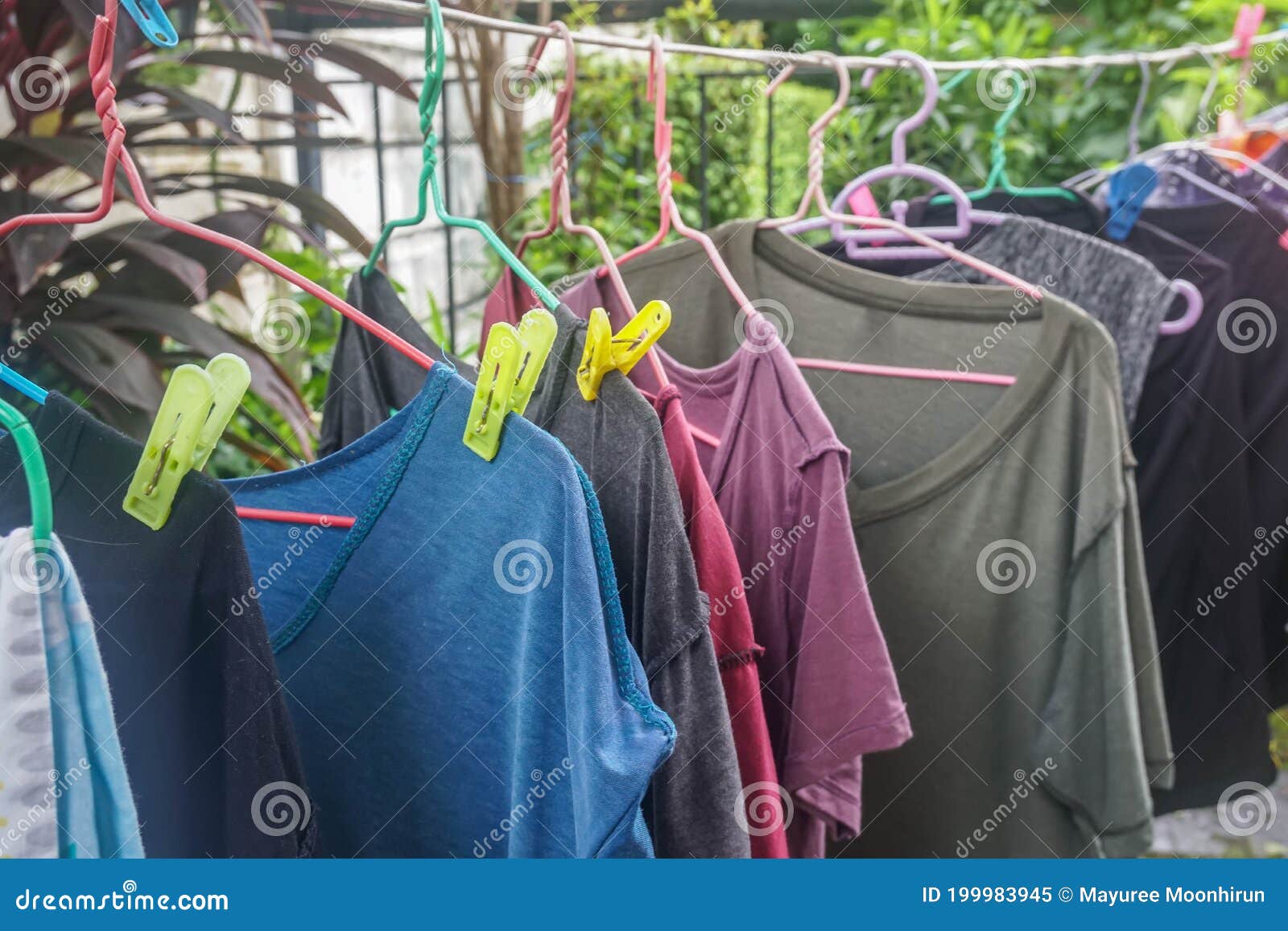 alumno energía Terrible Colgar Camisetas Mojadas En Perchas De Ropa Con Estacas Coloridas Al Aire  Libre Para Secarse Imagen de archivo - Imagen de estante, ocasional:  199983945