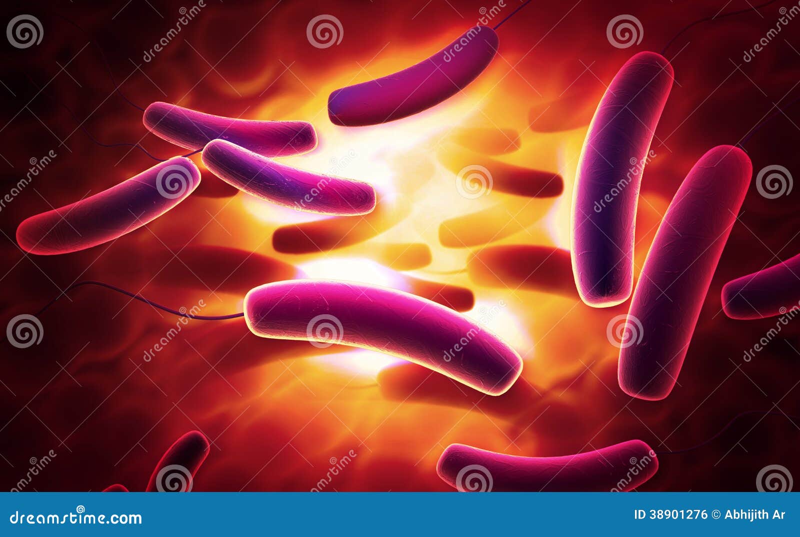 Digital-Illustration von Coli-Bakterien im Farbhintergrund