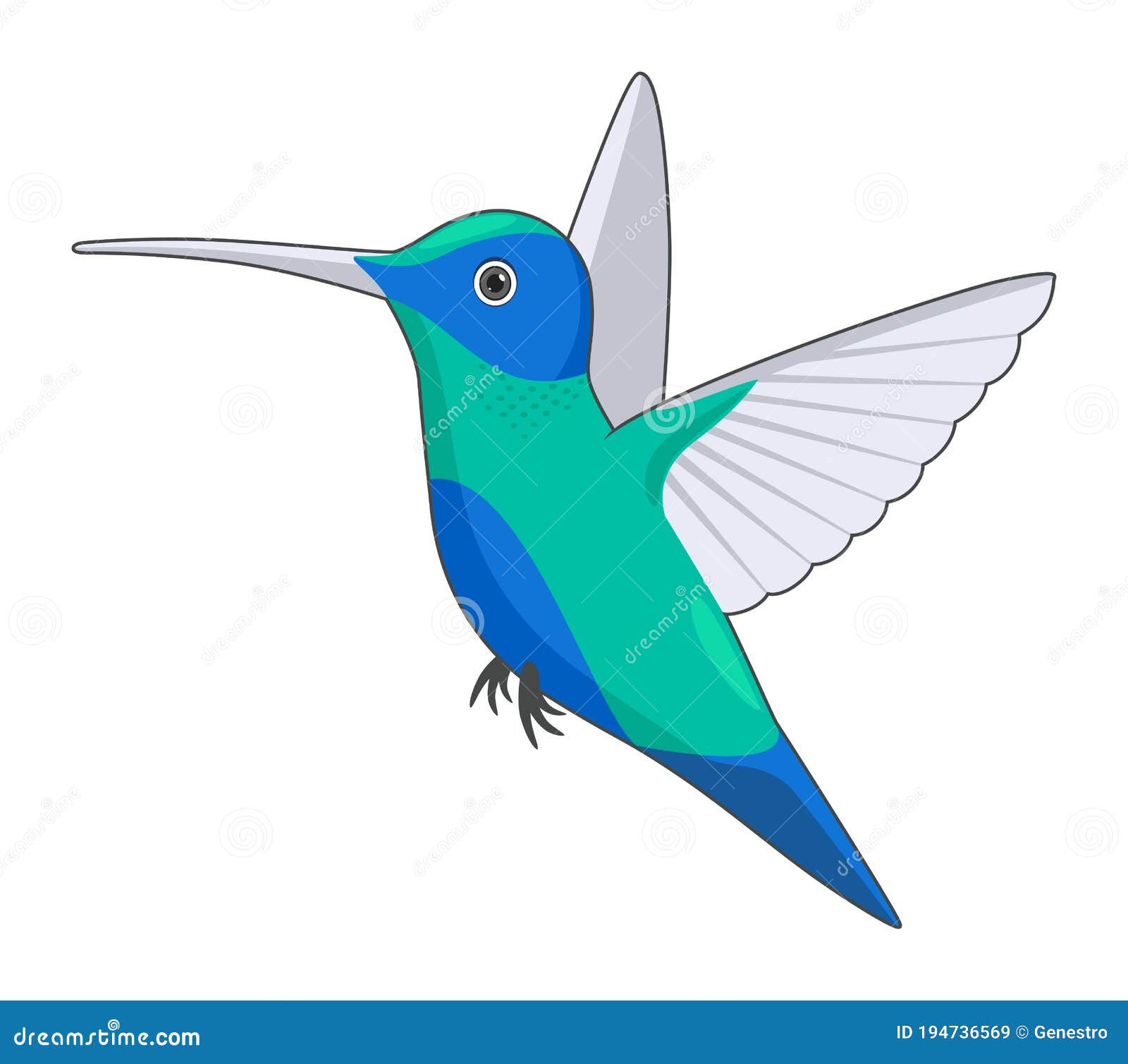 Colibrí sobre fondo blanco ilustración del vector. Ilustración de salvaje - 194736569 Colibrí sobre fondo blanco ilustración del vector. Ilustración de salvaje - 194736569