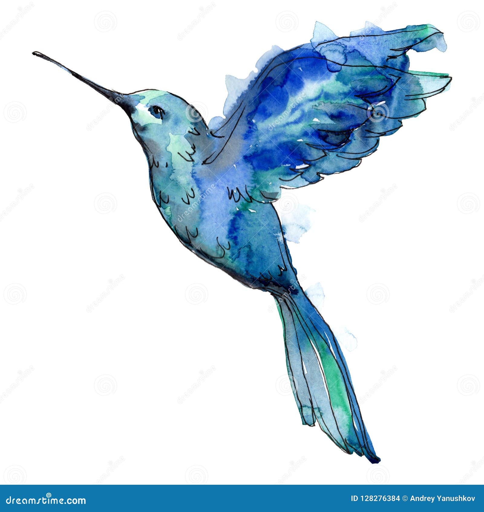 Colibri Azul Del Pájaro Del Cielo En Una Fauna Por Estilo De La Acuarela Aislada Stock de ilustración - Ilustración de acuarela, silueta: 128276384 Colibri Azul Del Pájaro Del Cielo En Una Fauna Por Estilo De La Acuarela Aislada Stock de ilustración - Ilustración de acuarela, silueta: 128276384