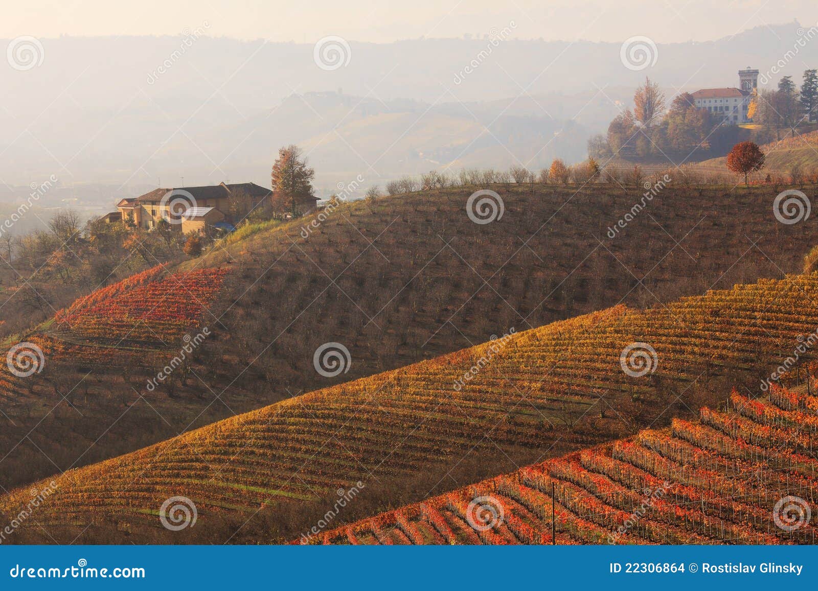 Colinas y viñedos en la caída. Piedmont, Italia. Opinión sobre viñedos multicolores hermosos en los downhills en Piedmont, Italia norteña.