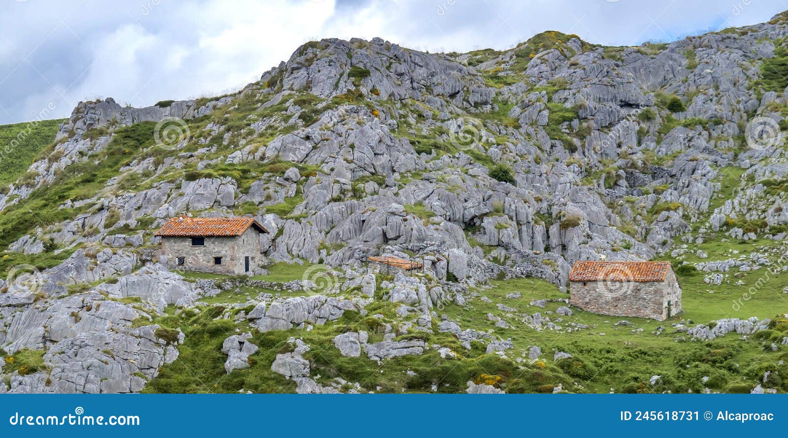 collado pandÃÂ©bano, picos de europa national park, asturias, spain