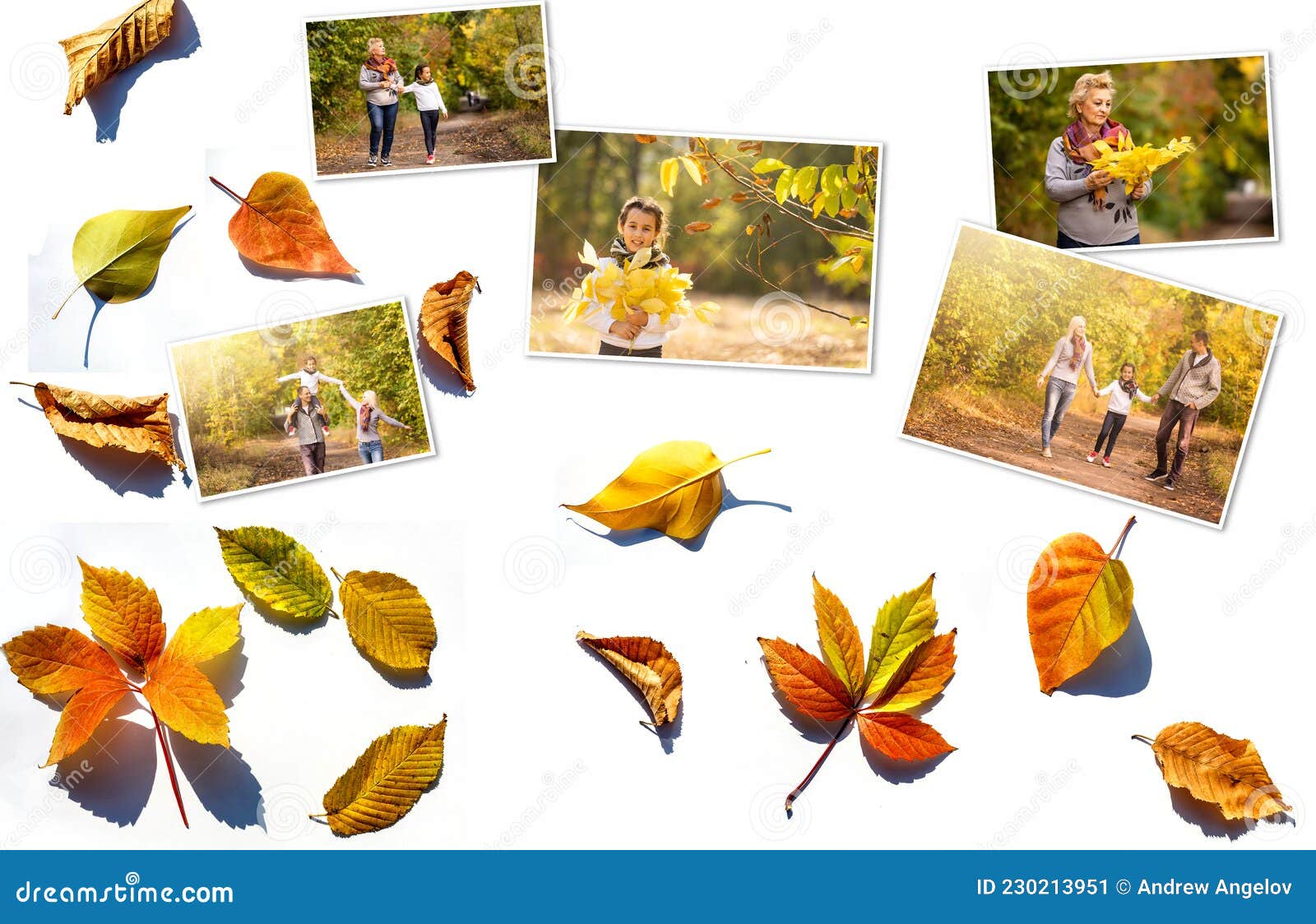 Collage Autumn. Family Photos and Yellow Leaves. Stock Image - Image of ...