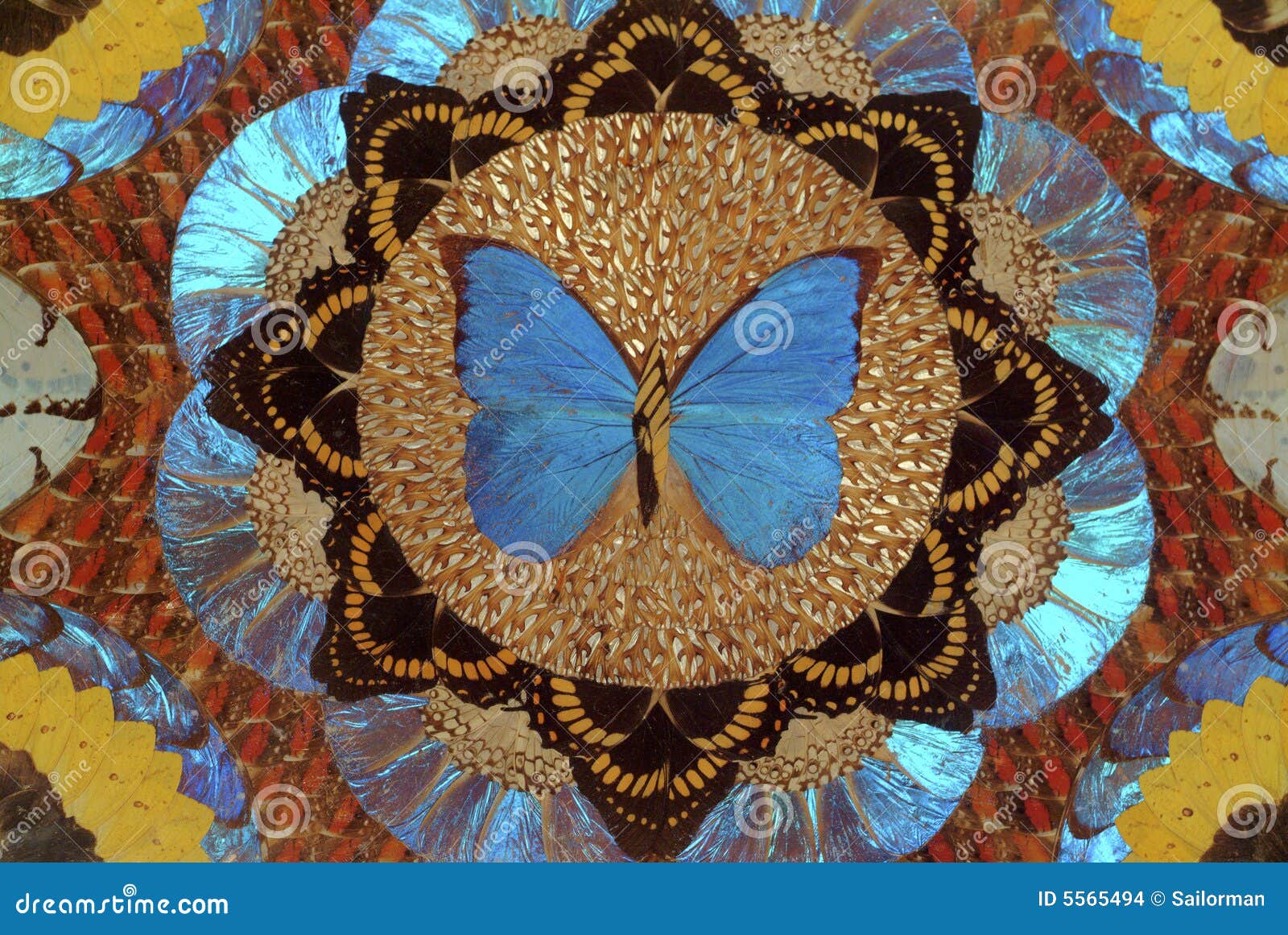 719 Butterfly Mosaic Stock Photos - Free & Royalty-Free Stock Photos from  Dreamstime