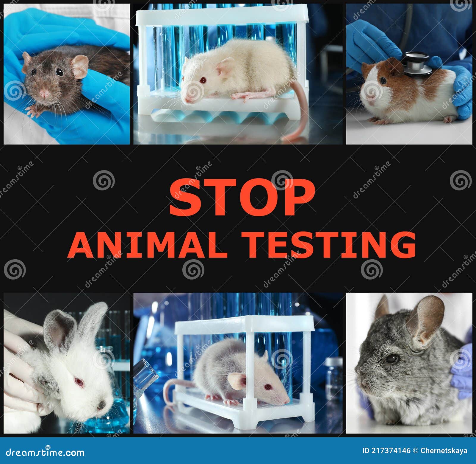 Collage with Different Photos and Text STOP ANIMAL TESTING Stock Photo -  Image of care, cruelty: 217374146