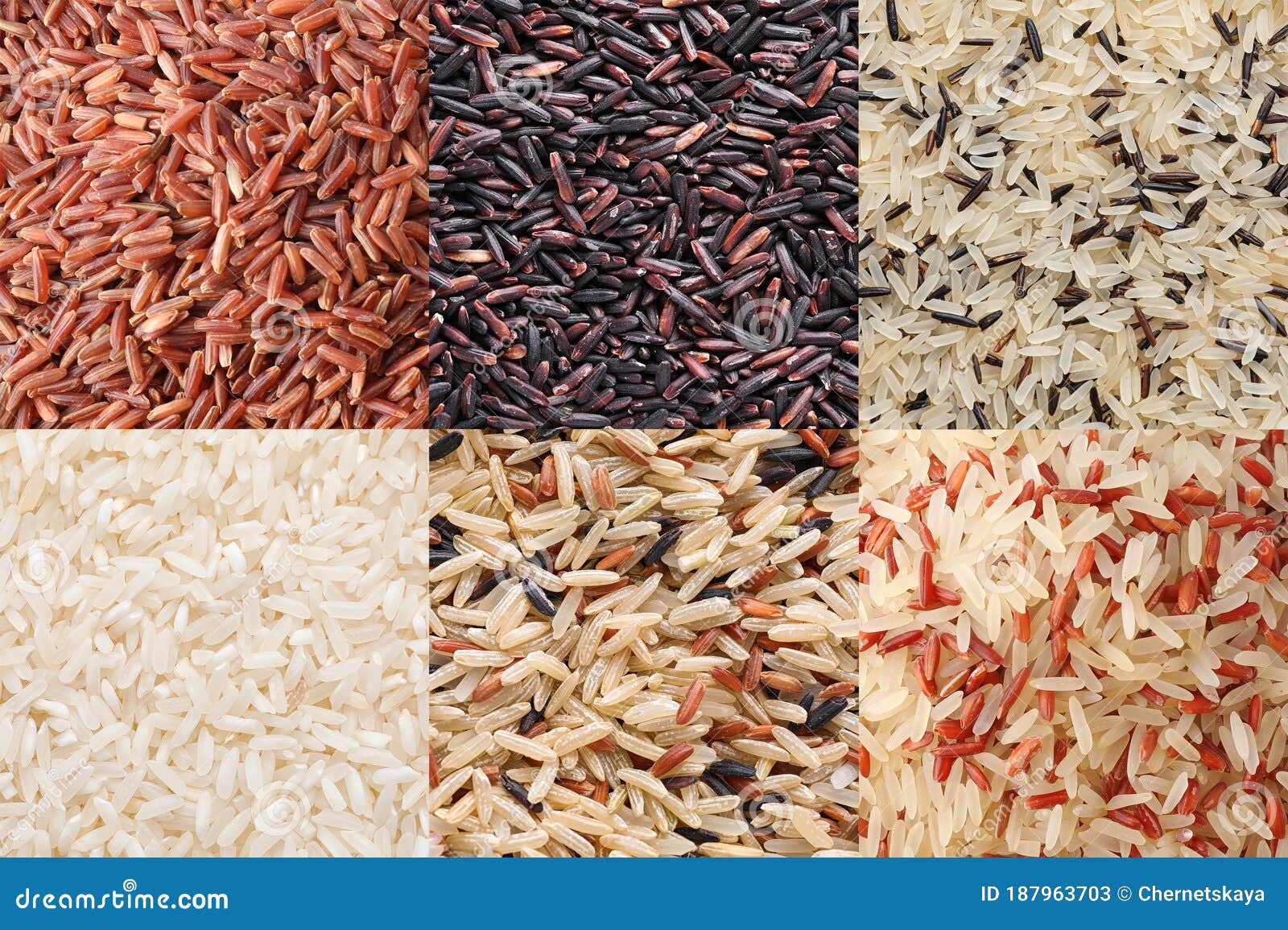 Collage with Different Types of Rice Stock Image Image of isolated