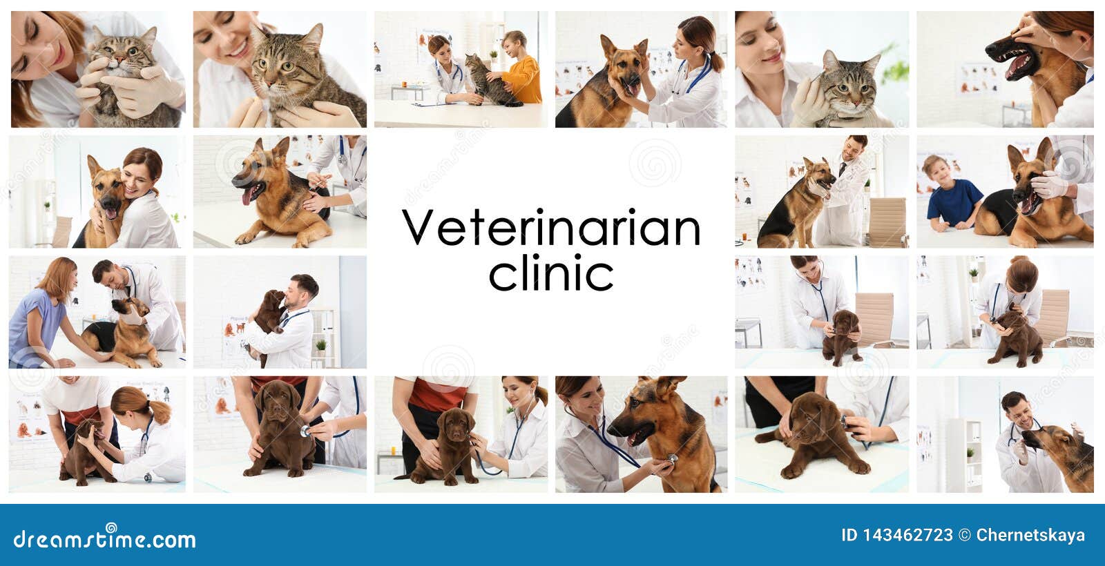 Collage. Doctors and Pets in Veterinarian Clinic Stock Image Image of