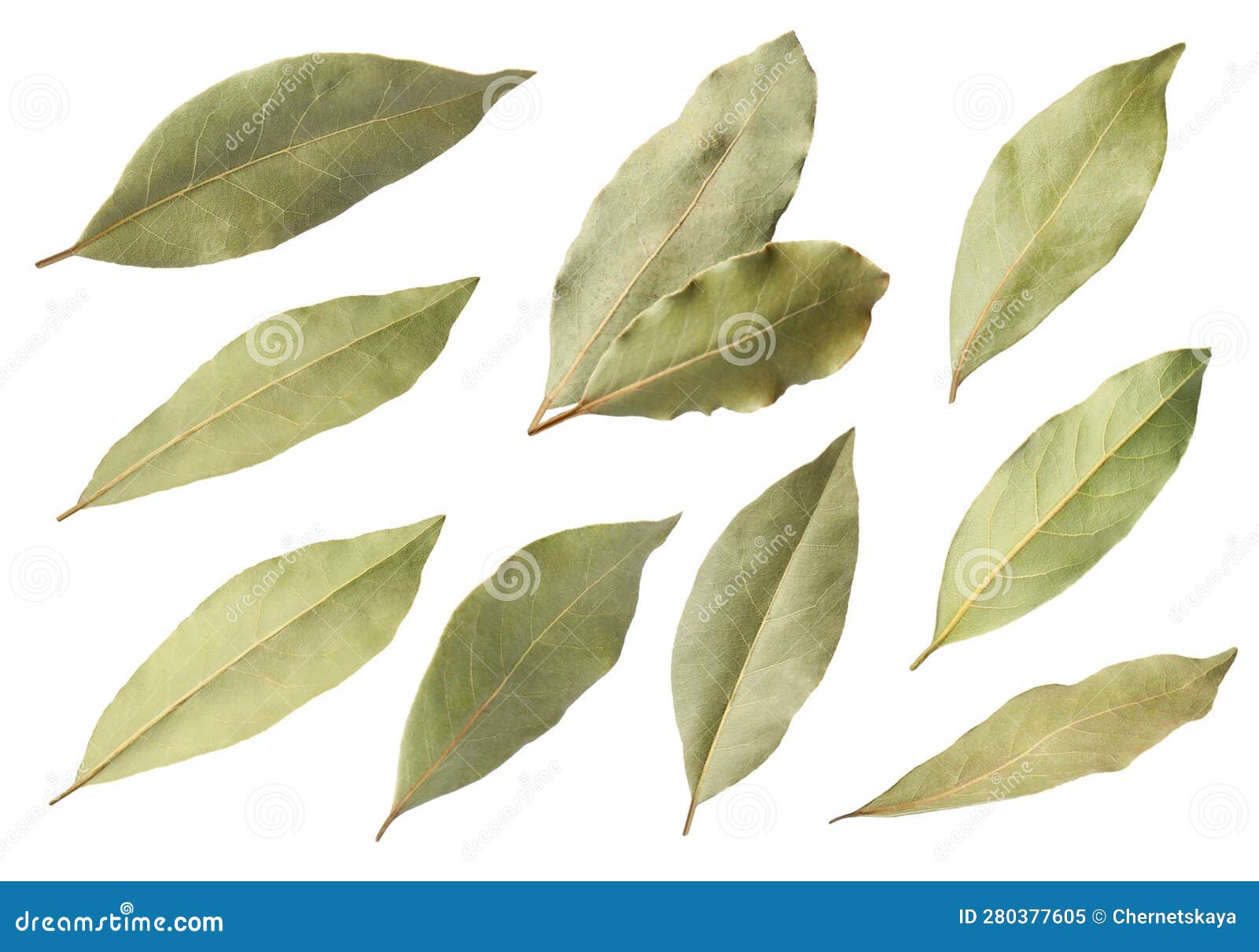 Collage with Dry Bay Leaves on White Background Stock Image Image of