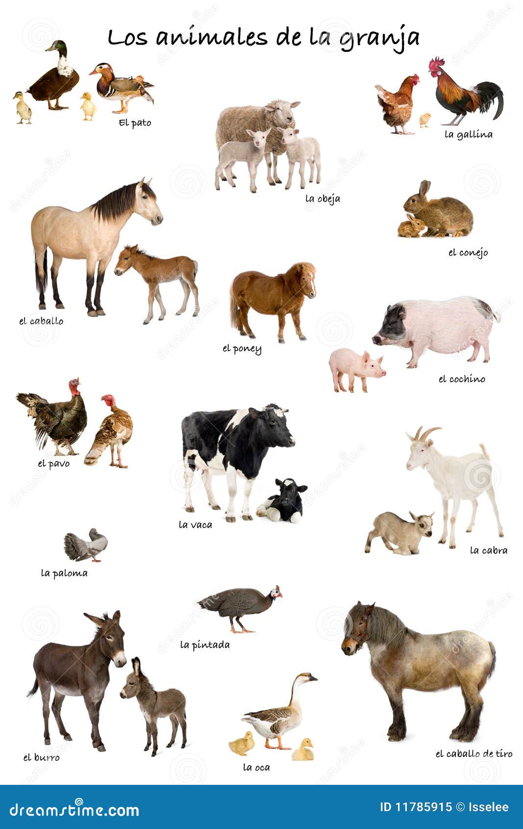 collage of farm animals in spanish