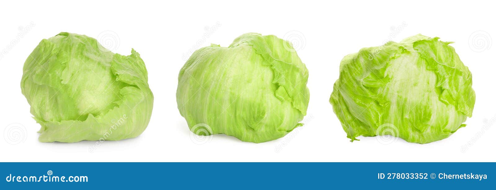 Collage with Fresh Iceberg Lettuce Heads on White Background Stock