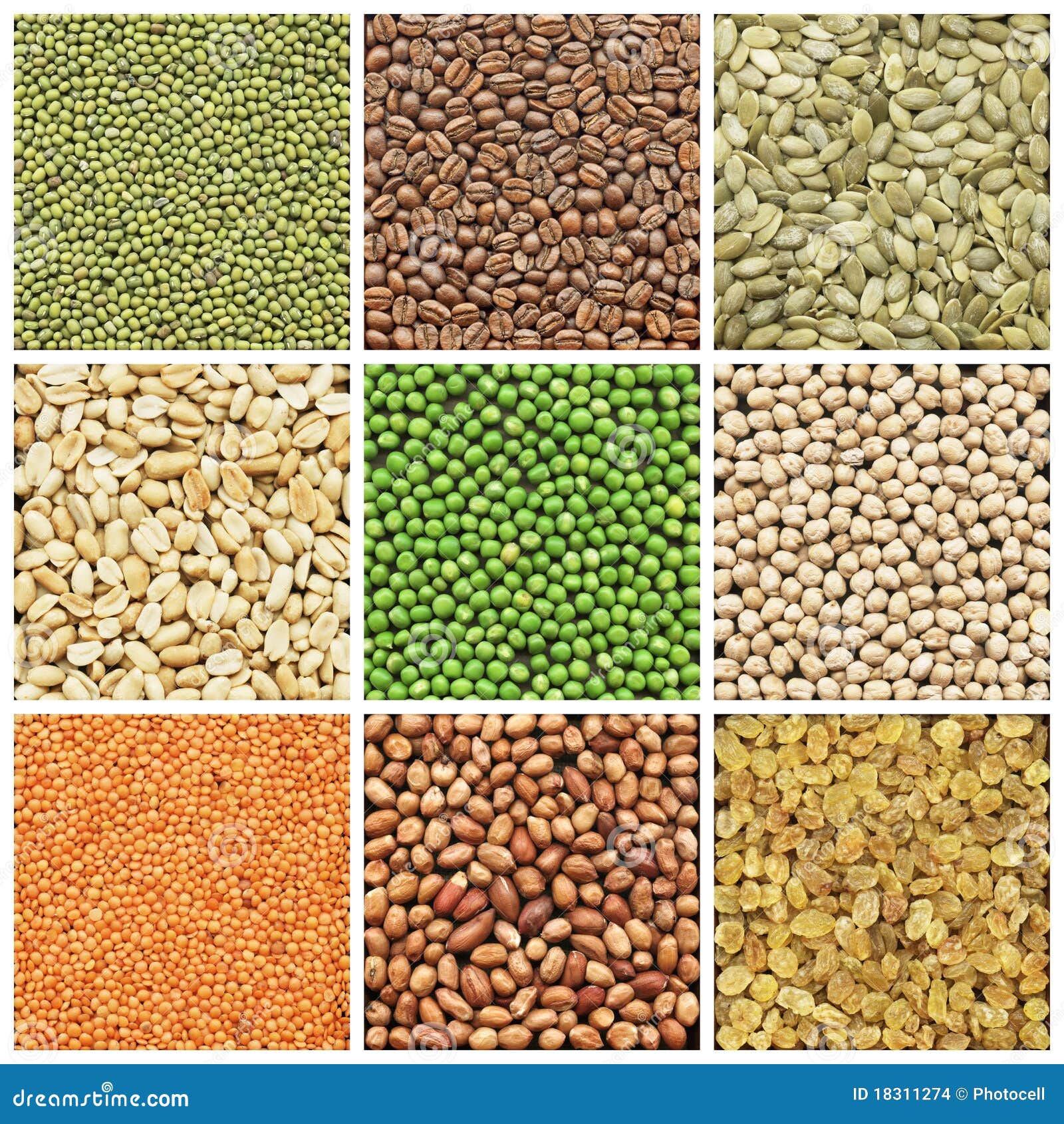 Collage of fresh seeds stock photo. Image of peanuts 18311274