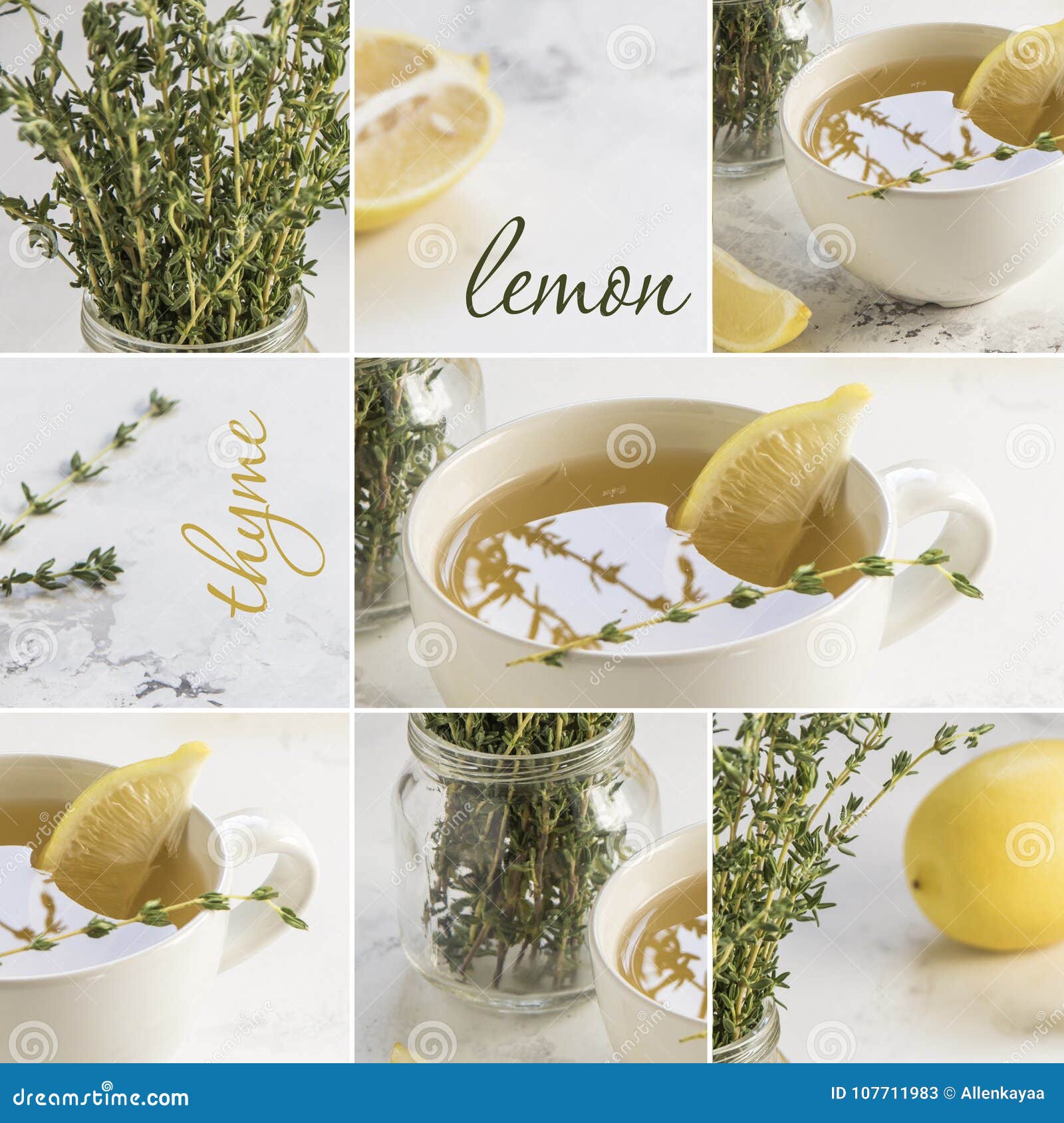 Collage Green Tea with Fresh Thyme and Lemon Stock Image Image of