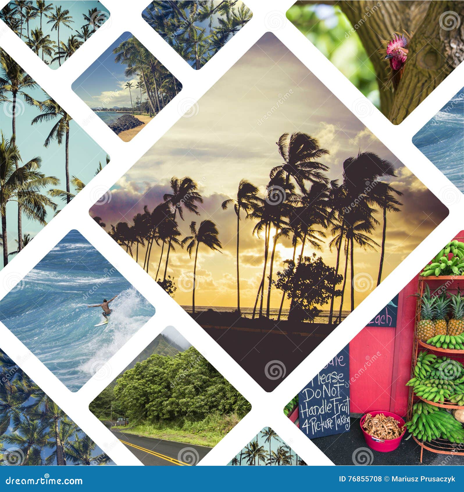 Collage Of Hawaii USA Images Travel Background My Photos