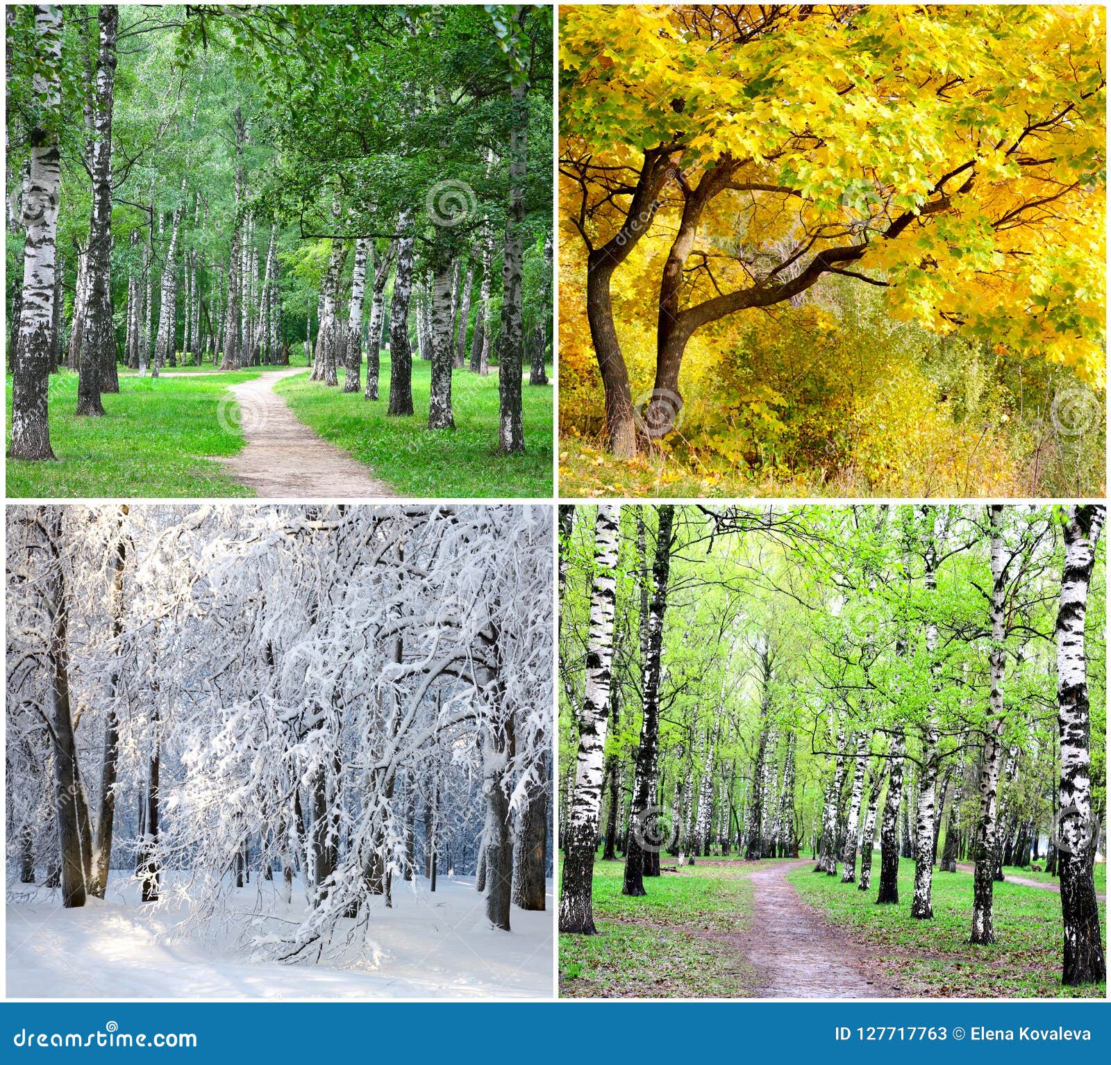 Vier Jahreszeiten Bild: A Timeless Masterpiece