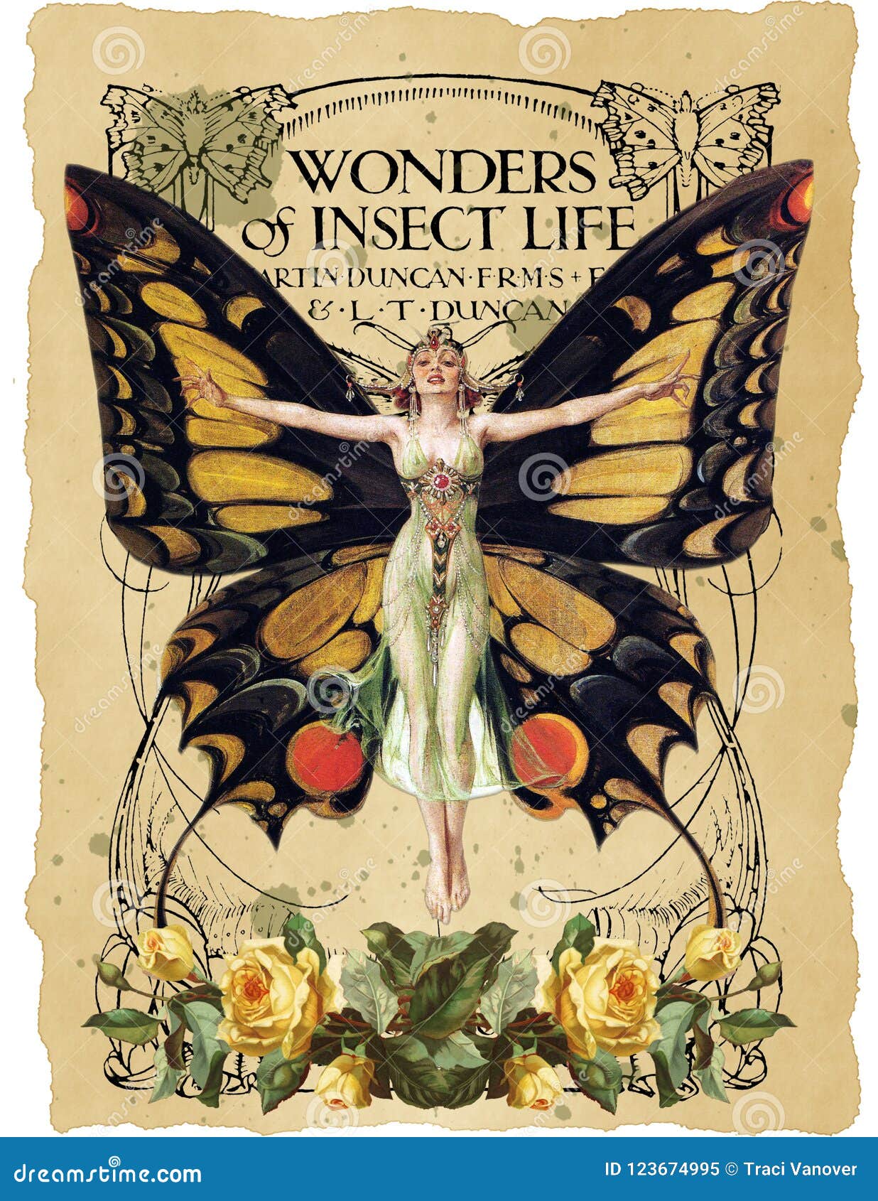 Antique Botanical Collage Art Nouveau Butterfly Illustration