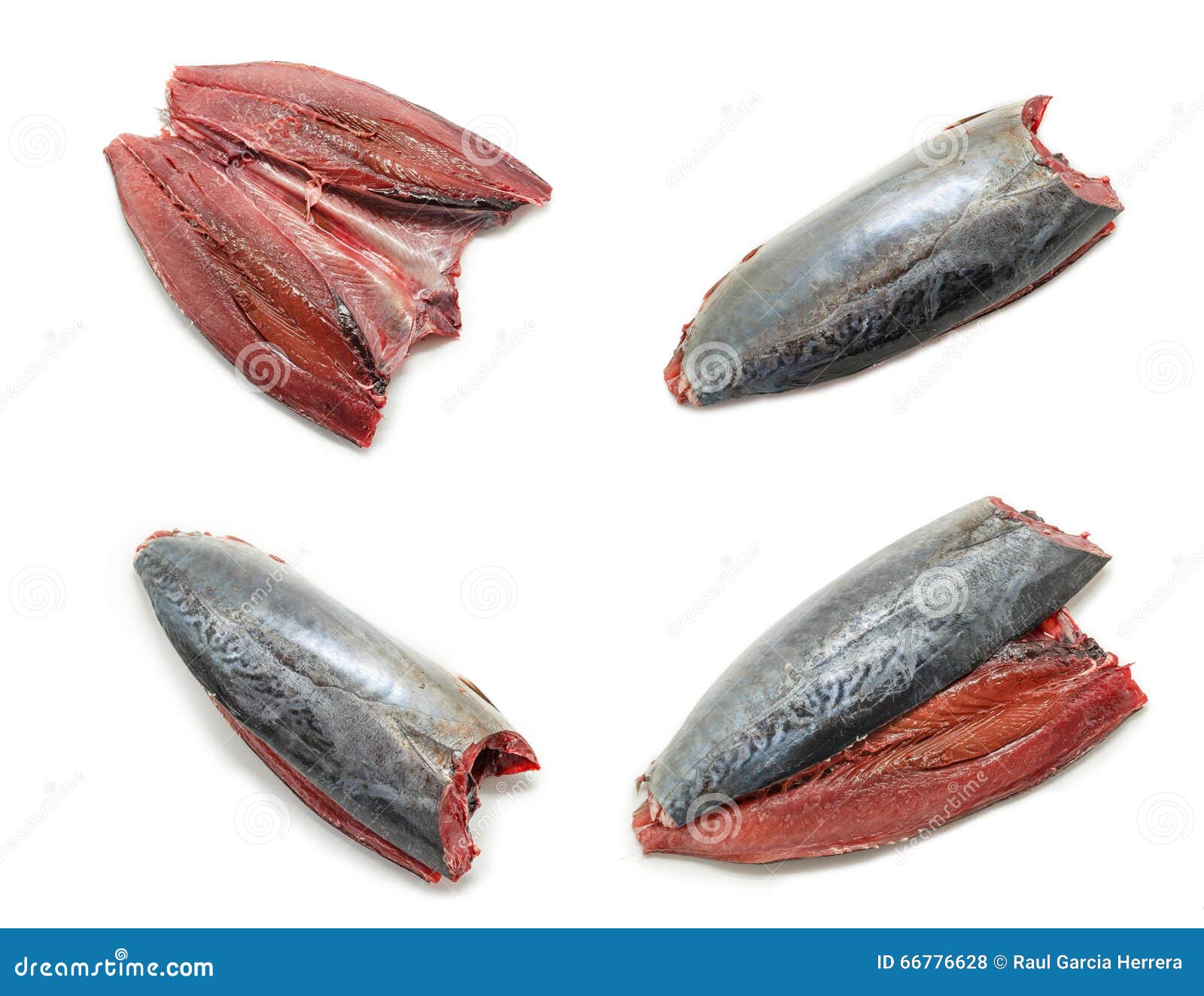 Collage of Raw and Fresh Mackerel. Spanish Mackerel Caballa Stock Photo