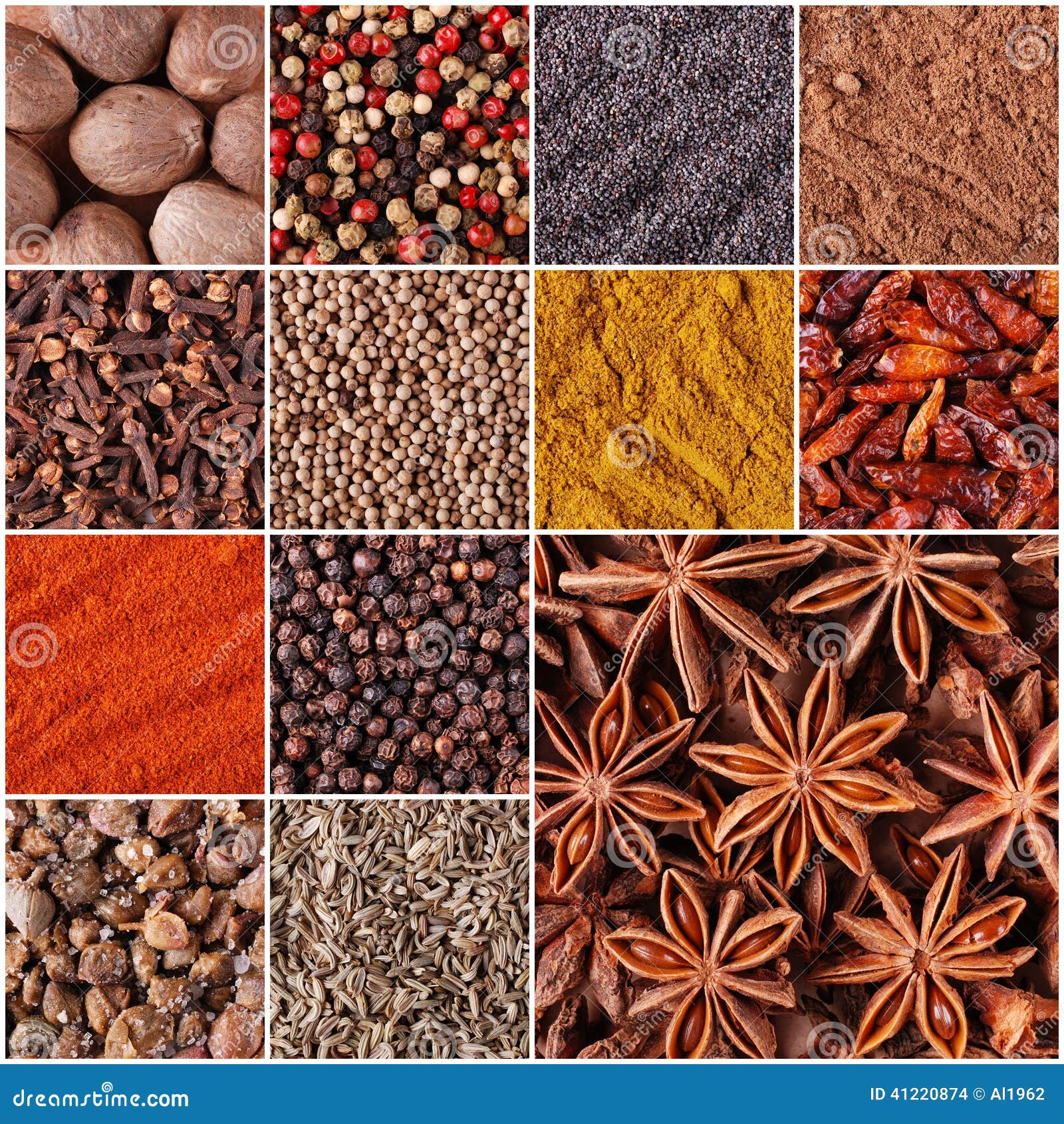 Collage of Spices and Herbs Stock Photo Image of spices, eating 41220874