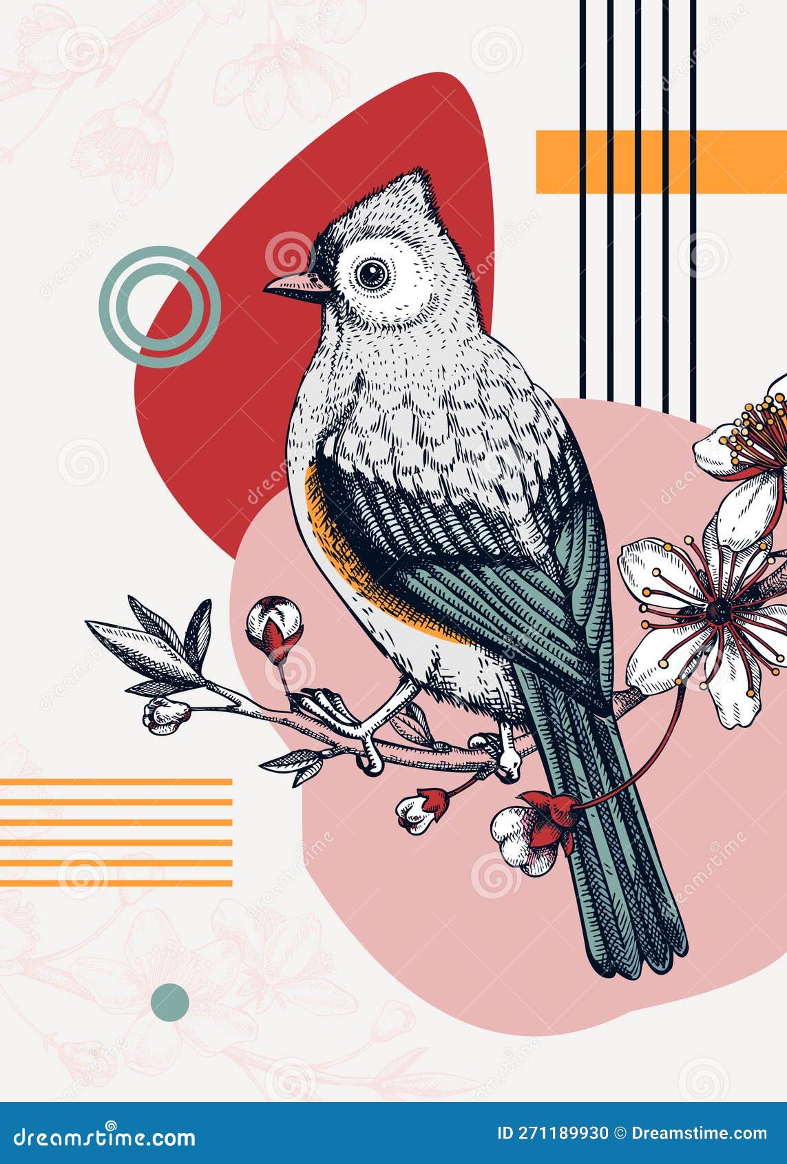 collage-style bird card. sketched tufted titmouse trendy poster. creative s with bird sketch, botanical s,