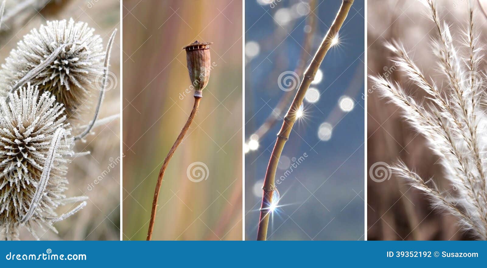 collage - winter season, sepia colored