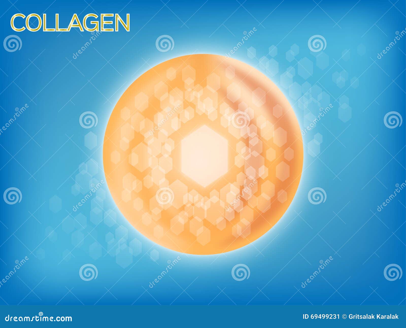 collagen and cell graphic inside