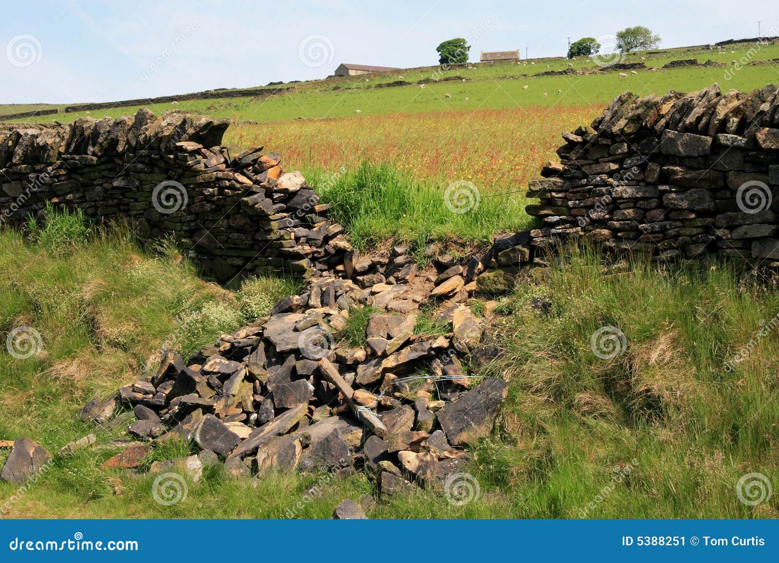 Collapsed Dry Stone Wall Stock Image Image 5388251