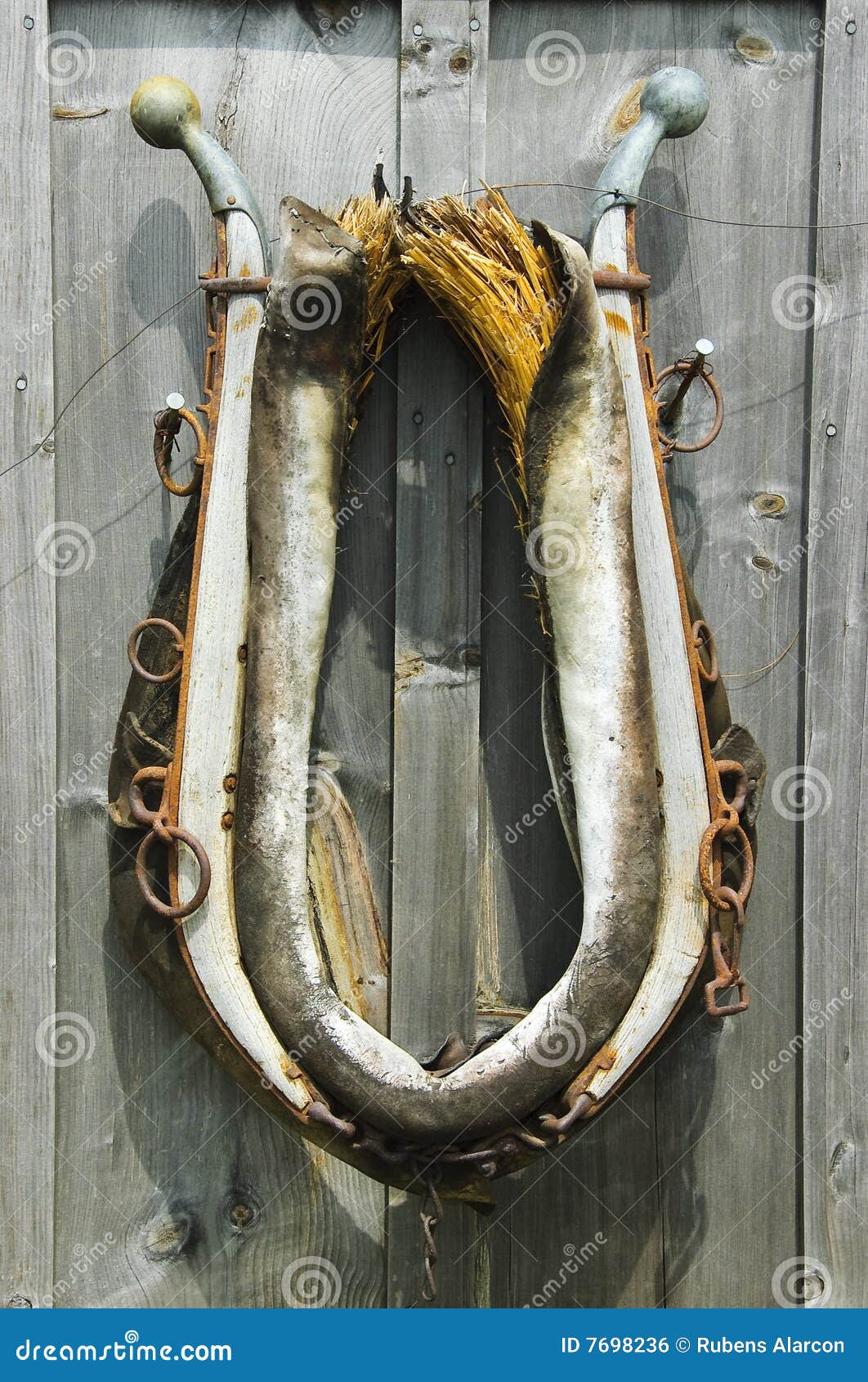 Collar de caballo foto de archivo. Imagen de collar, cierre 7698236