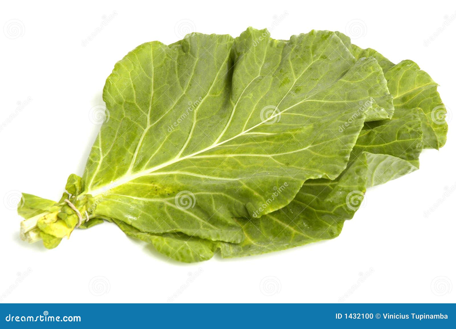 Collard Greens stock photo. Image of lettuce, collard 1432100