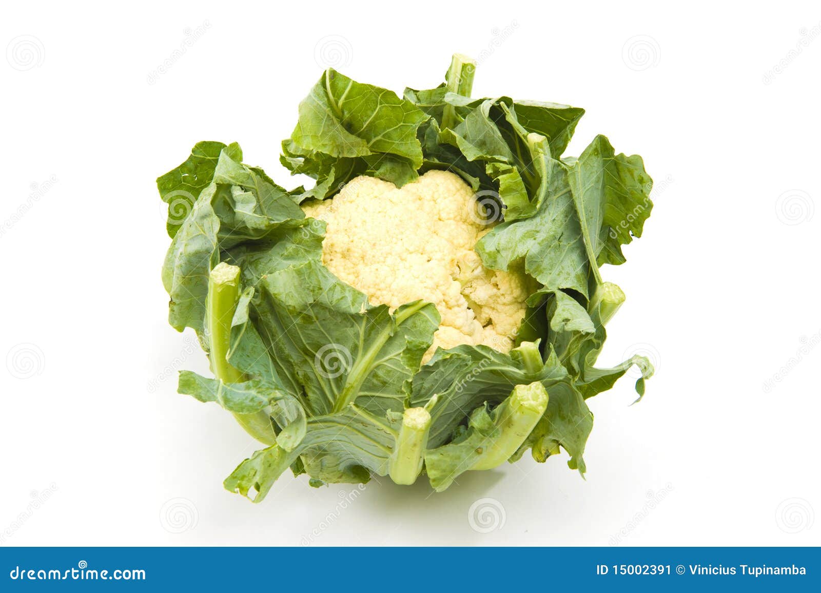 Collard greens stock image. Image of agriculture, dish 15002391