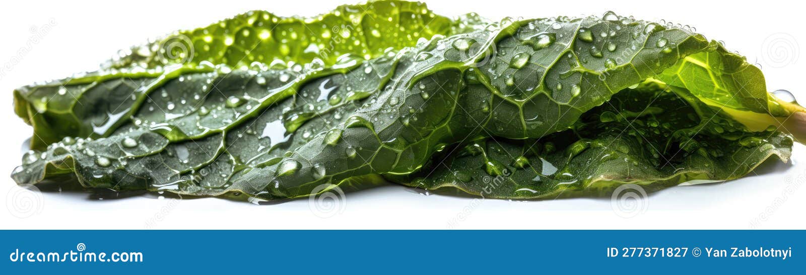 Collard Greens Yellow Sign With Cloudy Background Stock Photography