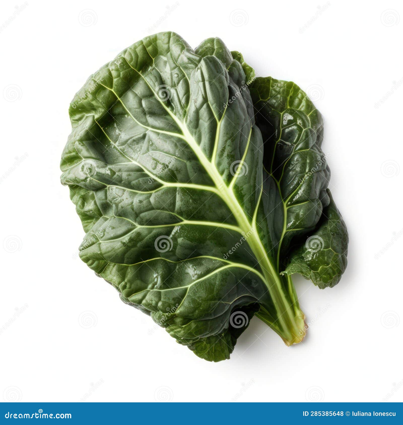 Collard Greens Isolated on White Stock Illustration Illustration of fiber, ingredient 285385648