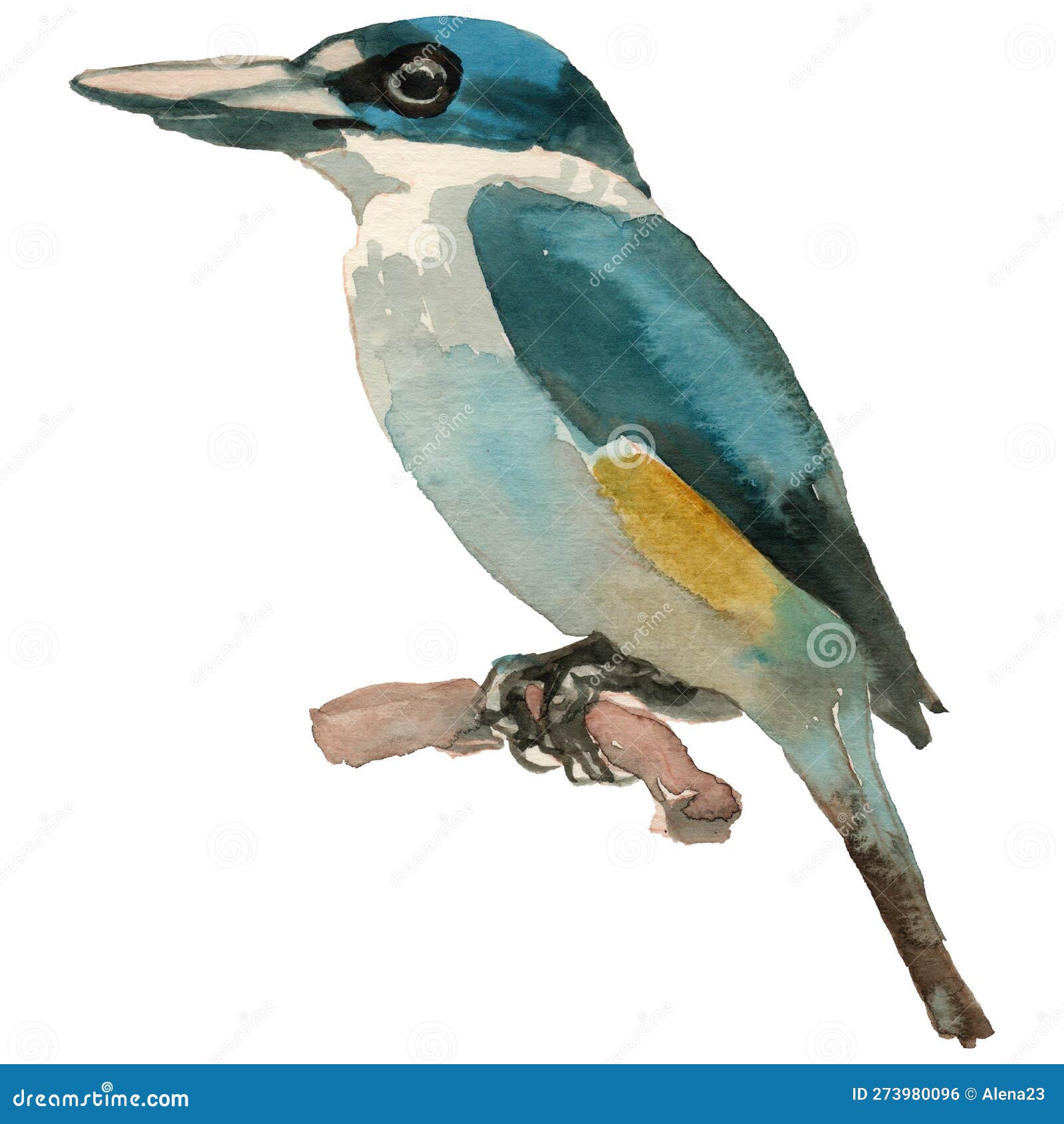 Kingfisher bird drawing Drawing by Anneli Johansson - Pixels