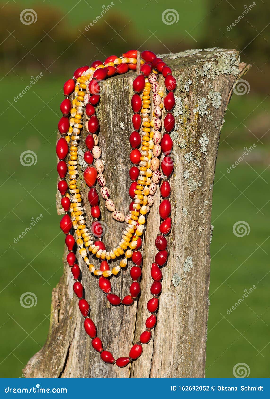 cajón Gallo erección Collares Hechos a Mano De Coloridas Semillas Y Bayas De Bosque Colgando De  La Antigua Valla De Madera Foto de archivo - Imagen de color, decoraciones:  162692052