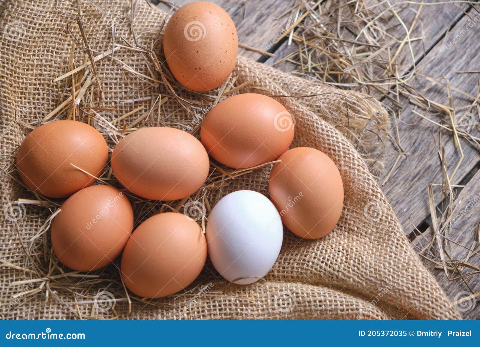 Collected Chicken Eggs, Stacked on Burlap in the Chicken Coop Stock