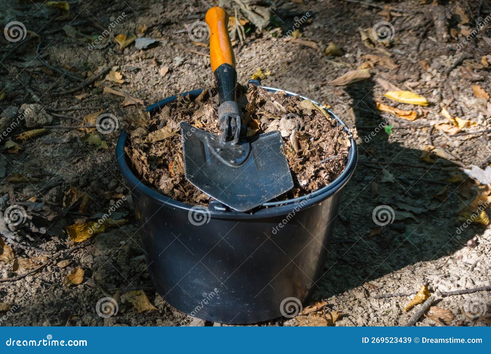Collecting Dried Leaves from Forest To Compost Stock Image Image of