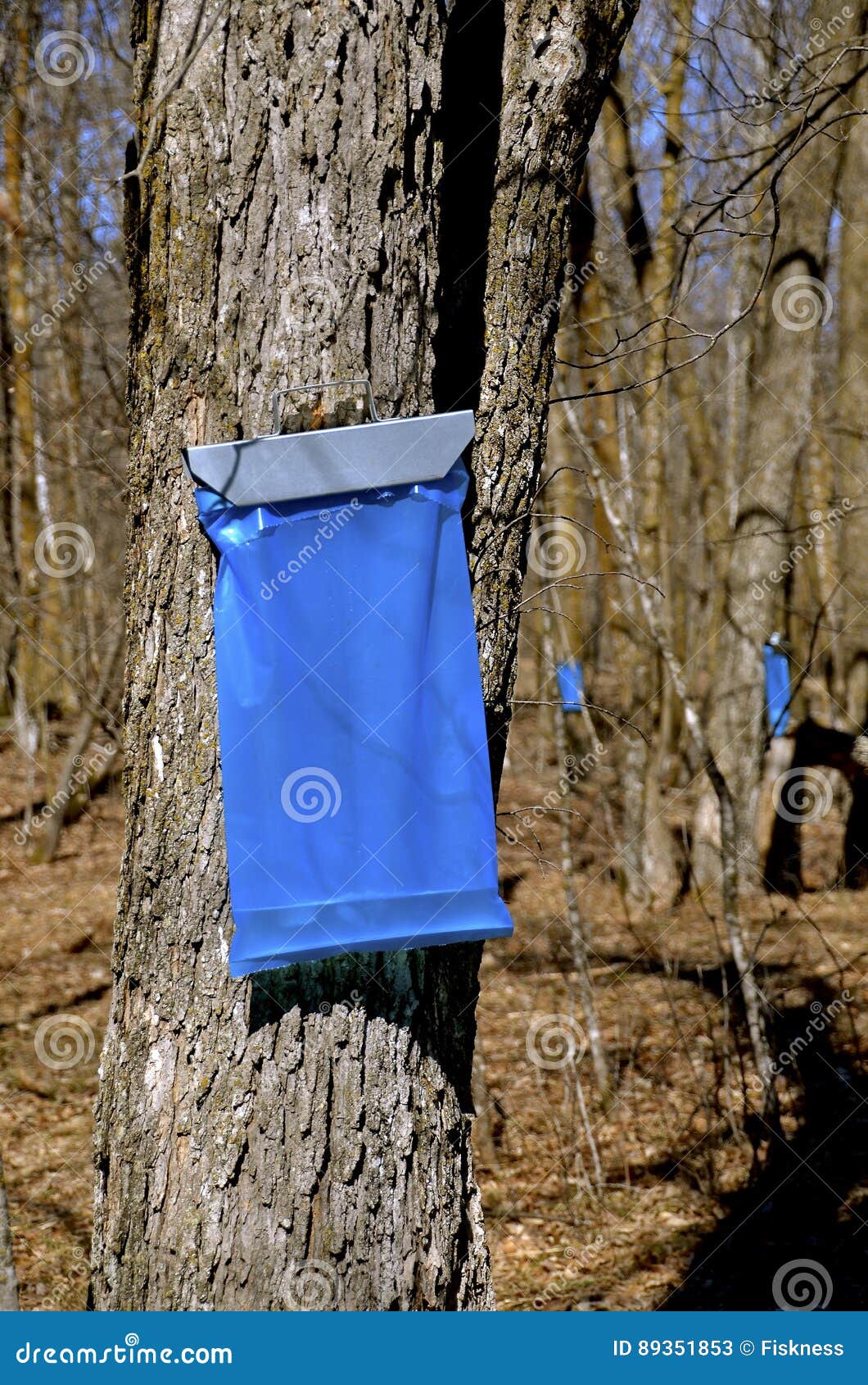 Erie MetroParks  Right now you will see blue bags  Facebook