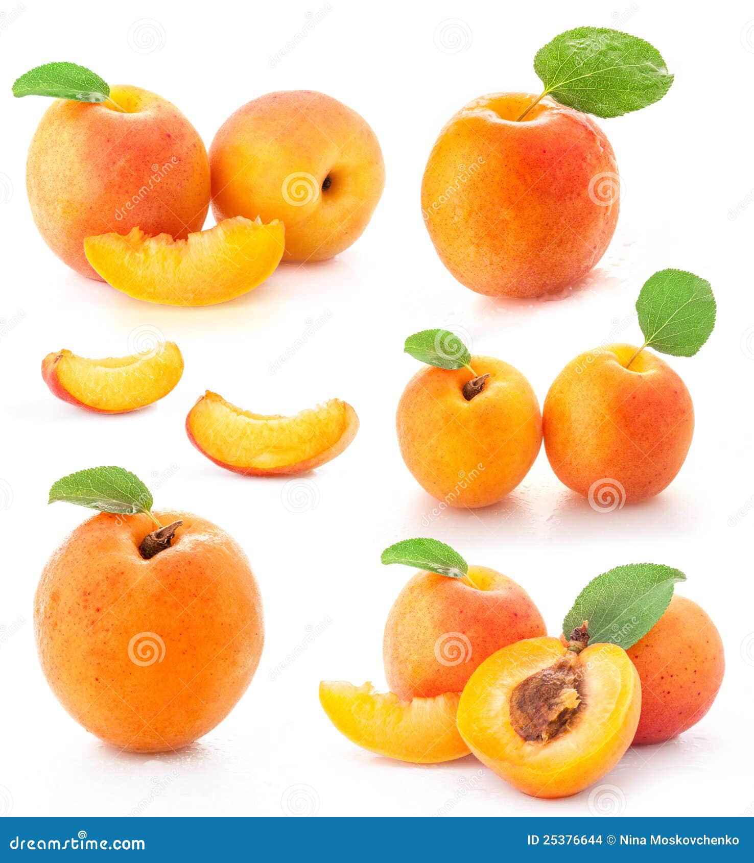 collection of apricot fruits