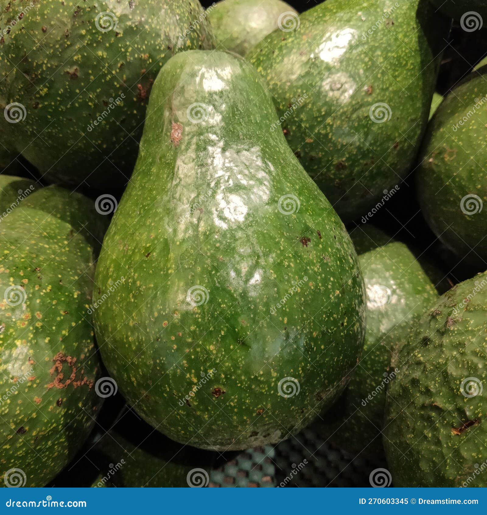 A Collection of Avocado Fruit Looks Close Stock Image Image of close