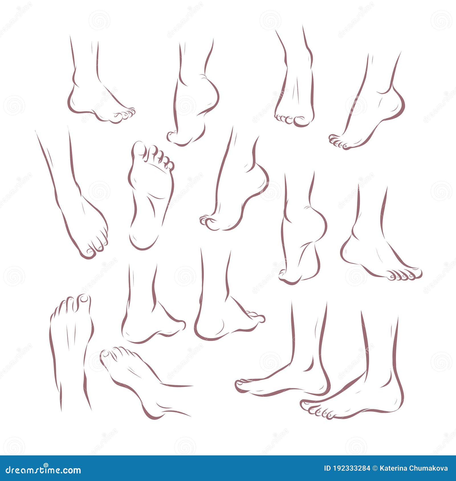 Beautiful Female Feet Barefoot Sketch. Black-and-white Outline Sketch. A  Design Element For Spa, Manicure Or Cosmetics. Vector Illustration Of A  Contour. Royalty Free SVG, Cliparts, Vectors, and Stock Illustration. Image  171148918.
